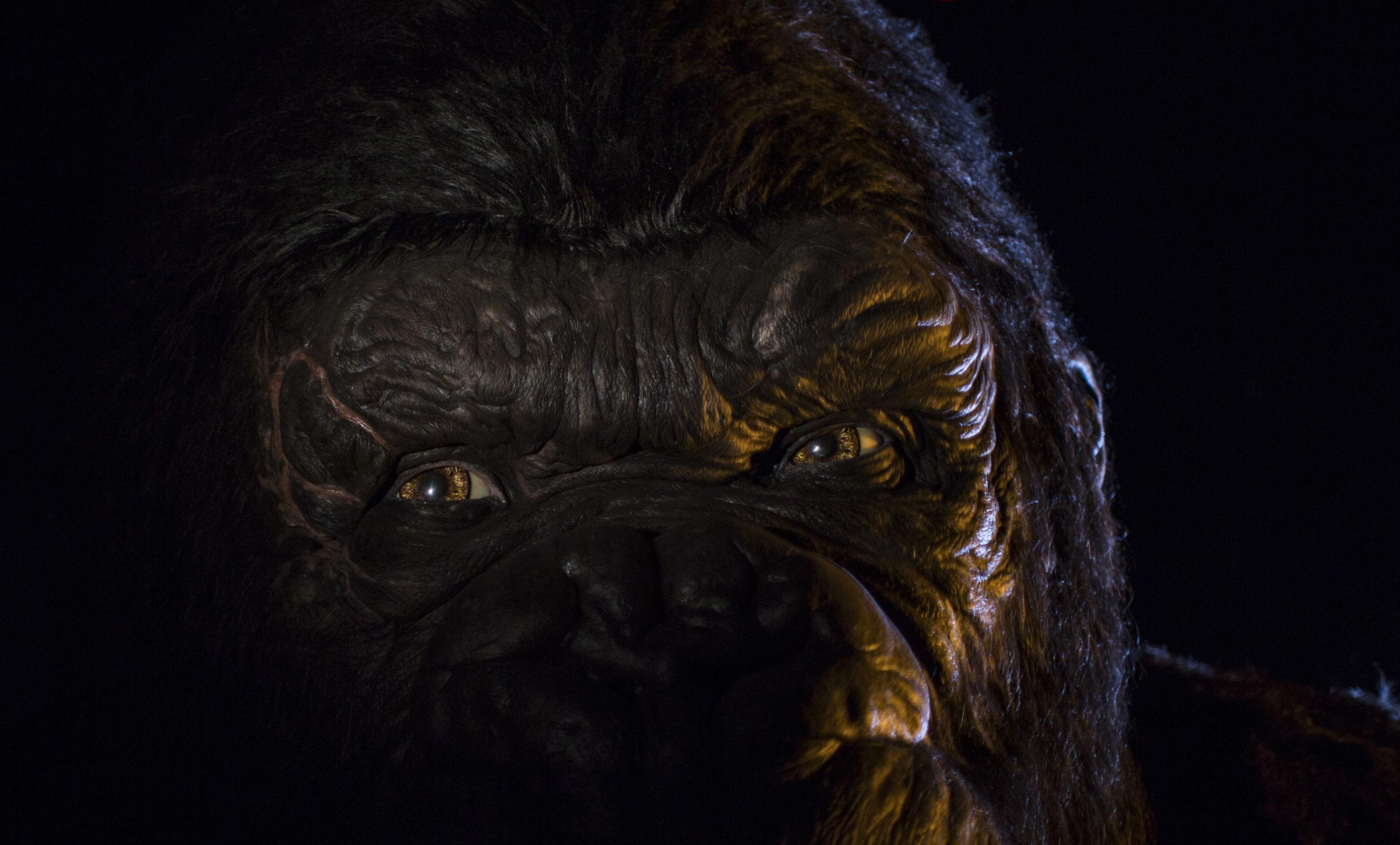 2814x1699 Kong: Skull Island HD Wallpaper