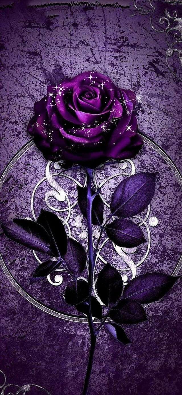 640x1387 Purple Rose on Glass Plate. Yeux de loup, Belle image de coeur, Dessin chouette