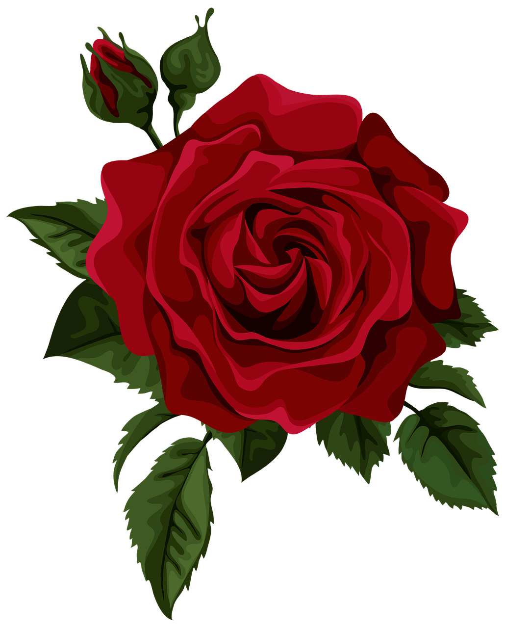 1030x1280 Free Mawar & Nature Image