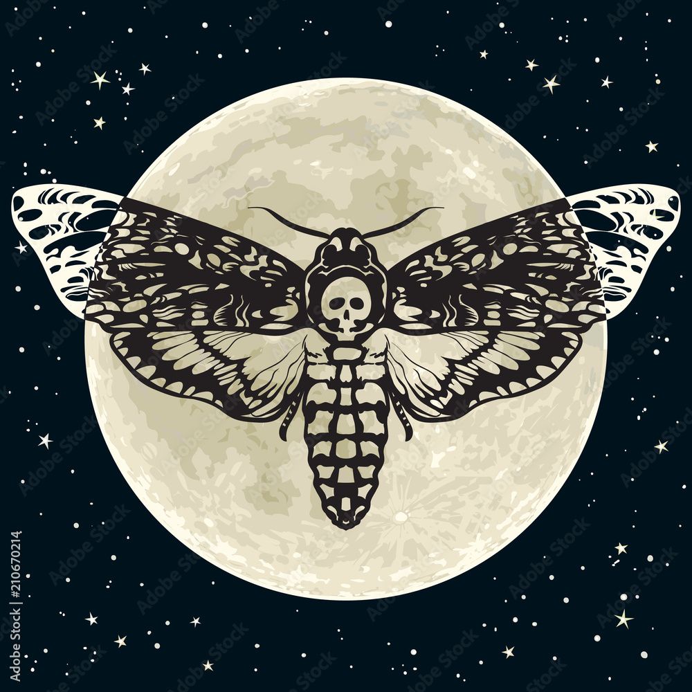 1000x1000 Death head hawkmoth on the full Moon and night sky background. Skull moth butterfly. Vector Stock Vector