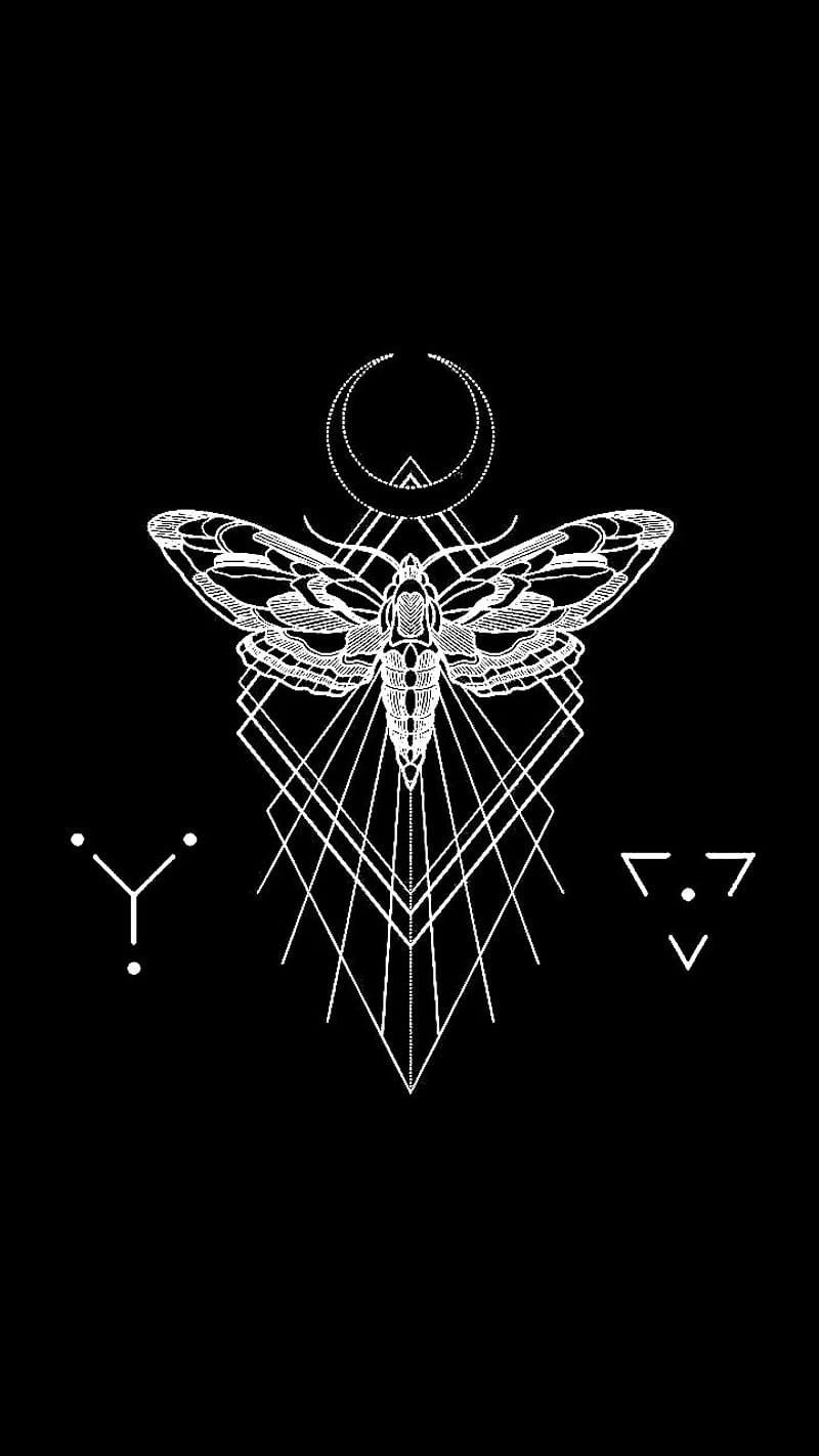 800x1422 HD death moth wallpaper
