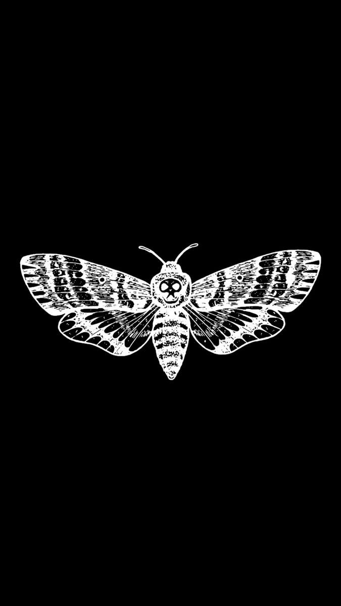 675x1200 Hawk moth wallpaper for iPhone (black)