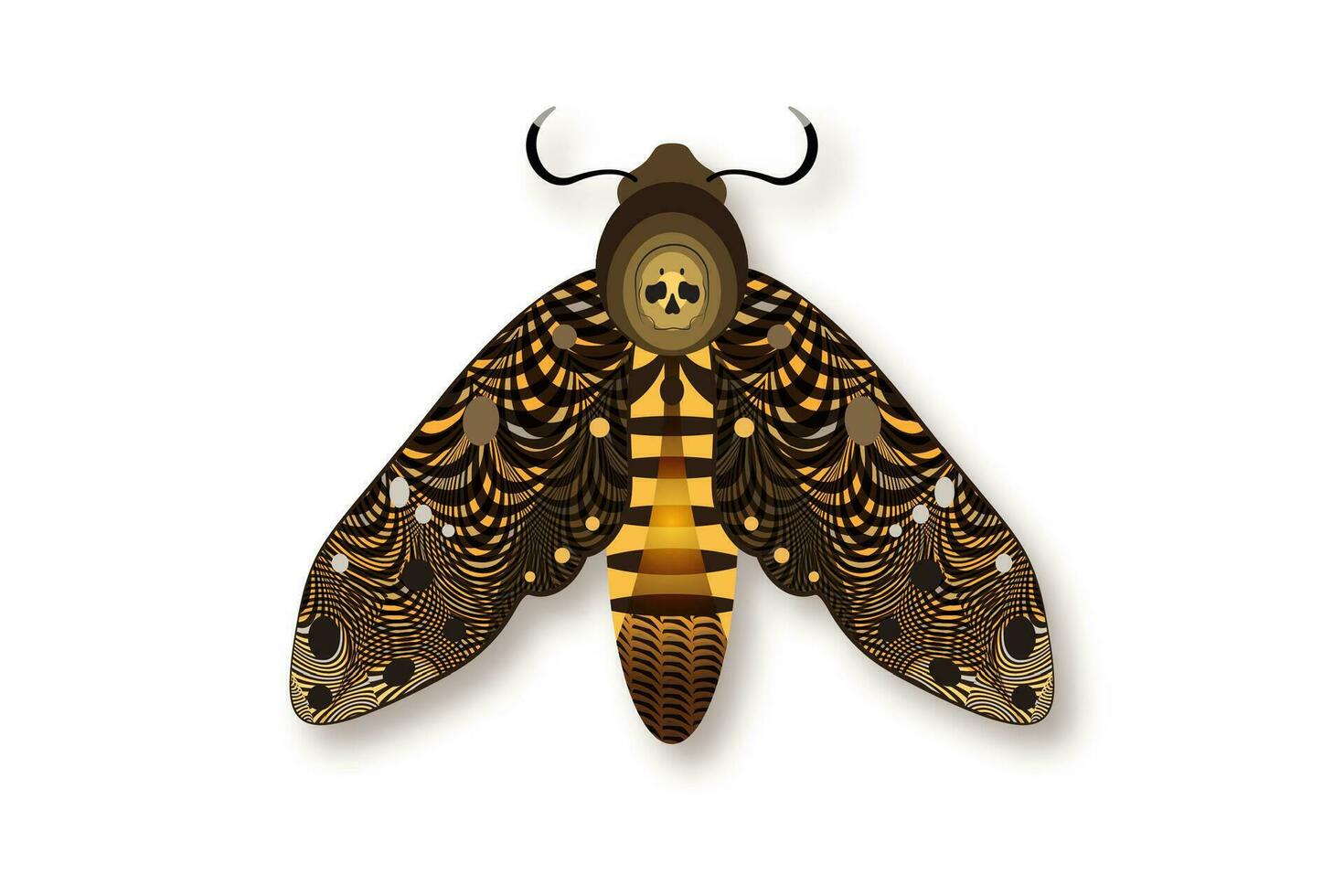 1470x980 The death's head moth in dark brown colors. Night mystical butterfly with a skull. Vector illustration of winged insect isolated on white background