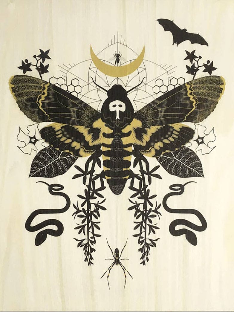 783x1044 Hawk Moth Small Wood Print, 11 x 8.5