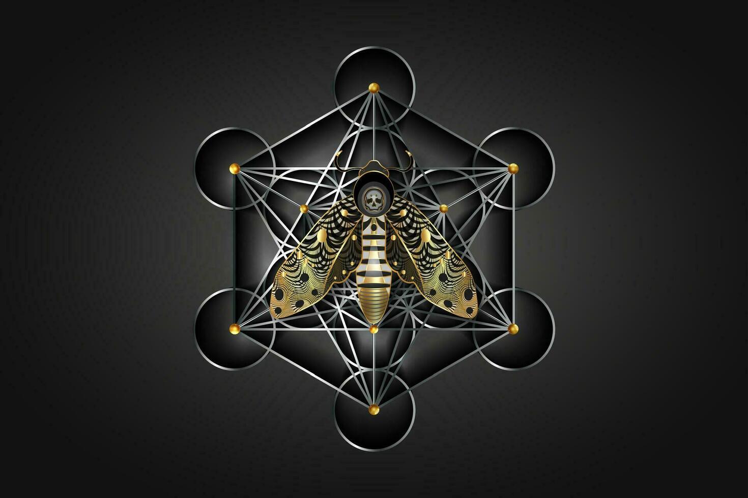 1470x980 Metatrons cube on The death's head moth in dark gold colors. Sacred Geometry. Night mystical butterfly with a skull. Luxury vector illustration of Acherontia winged insect isolated on black background 36373094 Vector