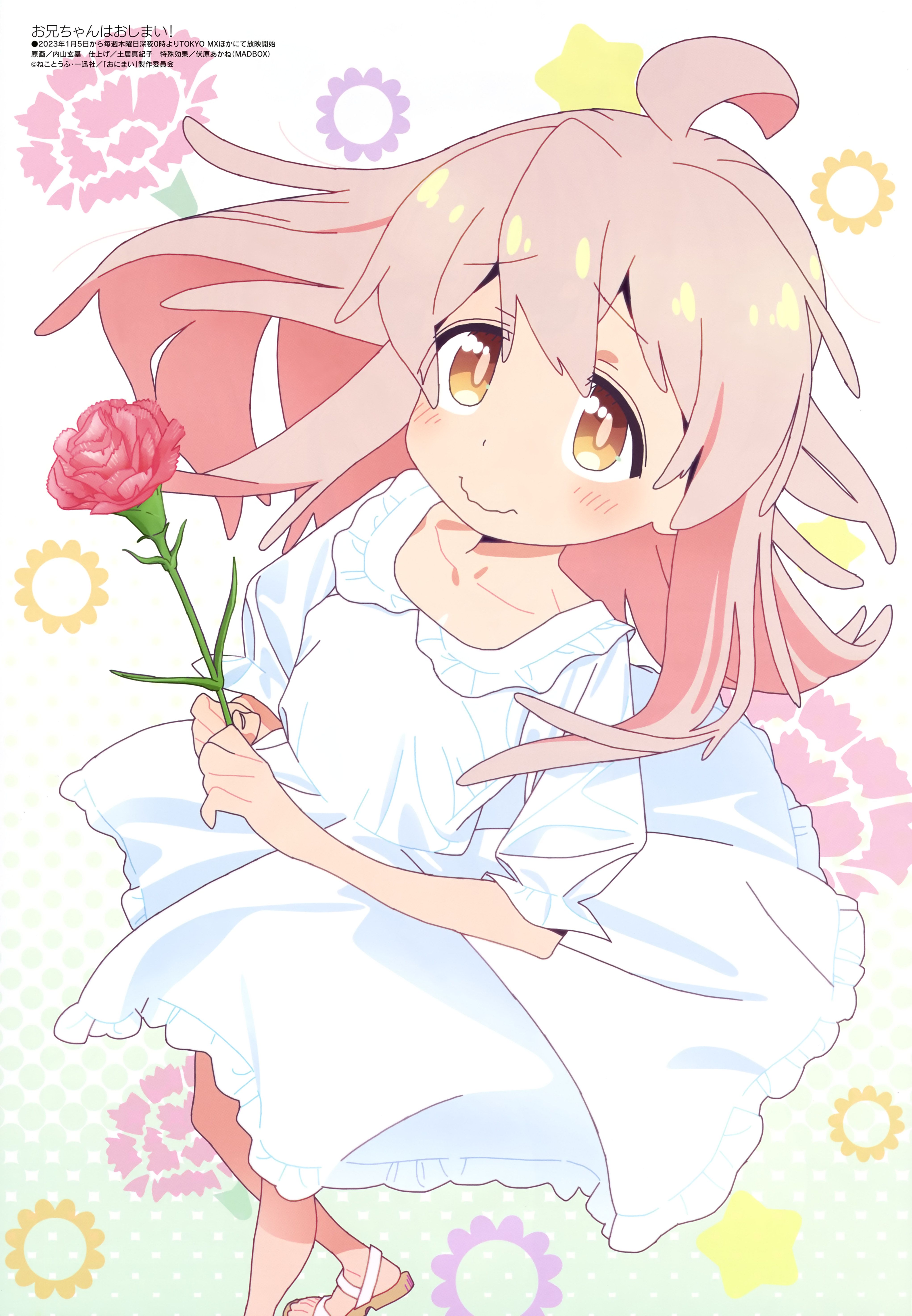 4085x5897 Oniichan Wa Oshimai Wallpaper