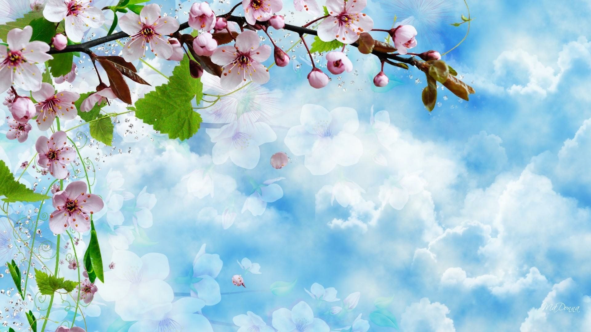 1920x1080 Spring Blossom Dreams: Pink Cherry Flowers Against a Blue Sky HD Wallpaper