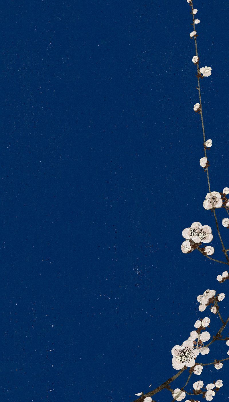 800x1400 Blue Sakura Wallpaper