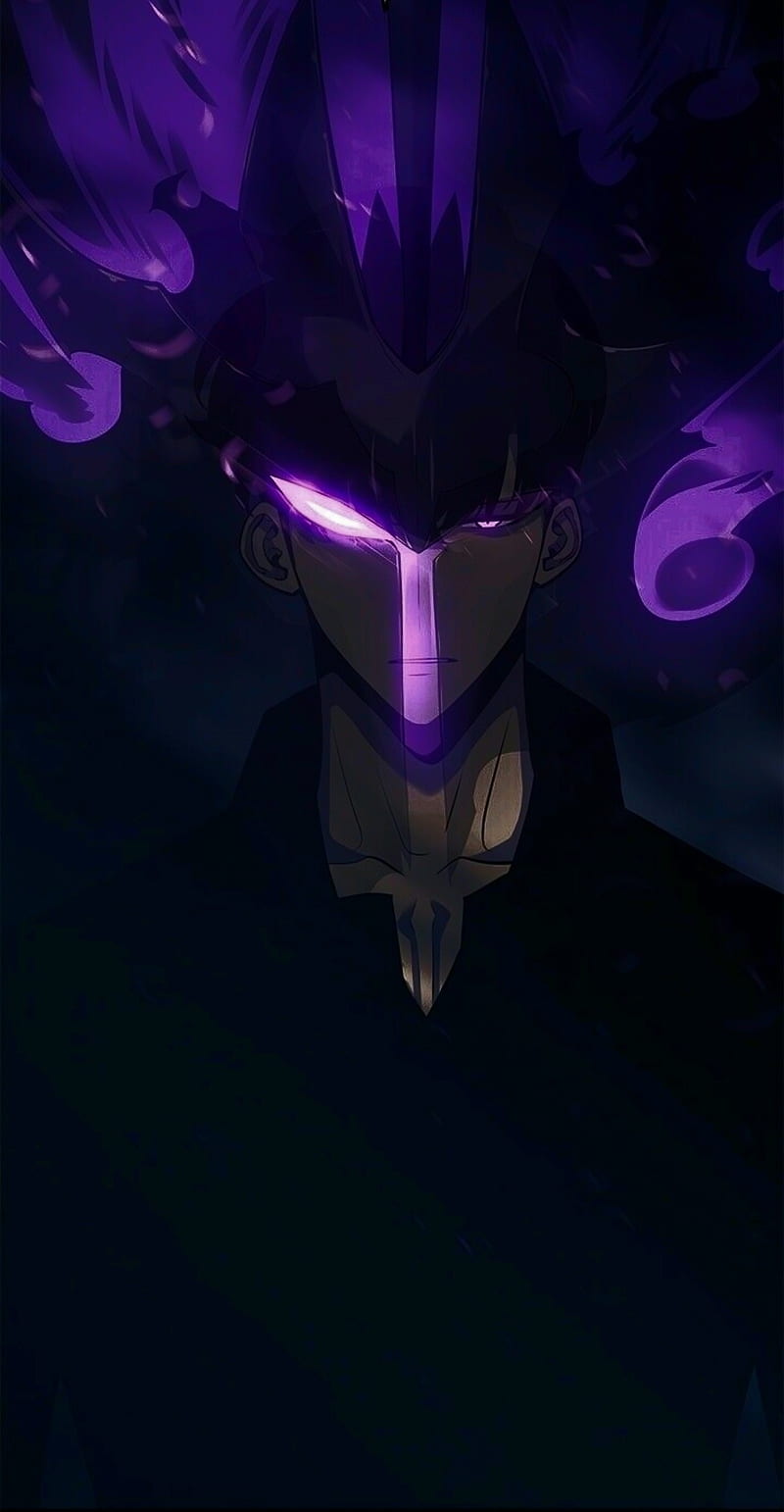 800x1542 Solo Leveling, sung jin woo, HD phone wallpaper