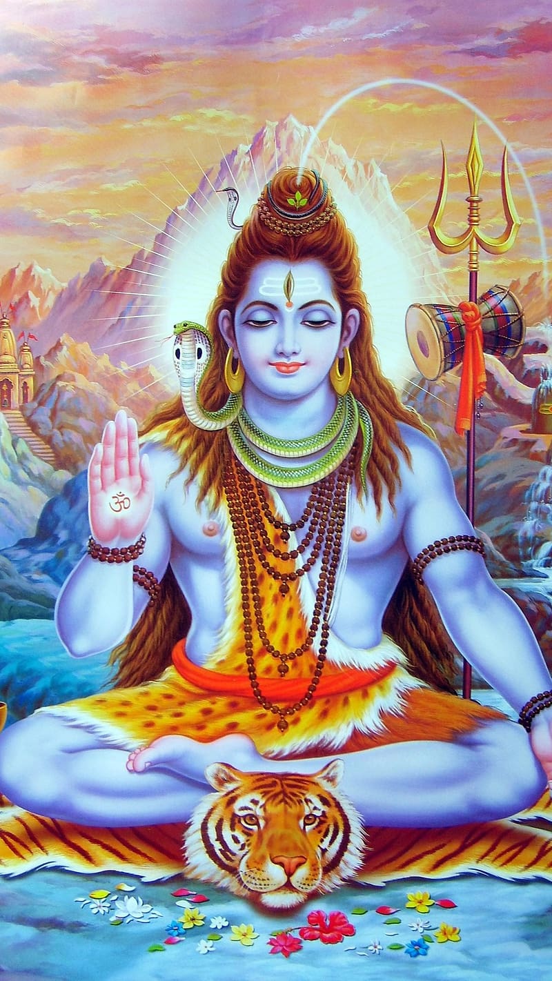 800x1422 Shiv Ji Sitting On Mountain, shiv ji, sitting on mountain, HD phone wallpaper