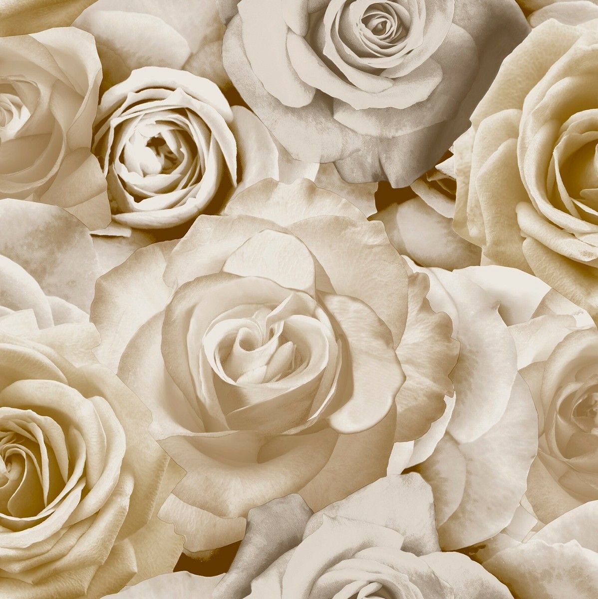 1198x1200 Luxury Exclusive New Glamour Beige Rose Floral Beige Flowers Wallpaper AL1003