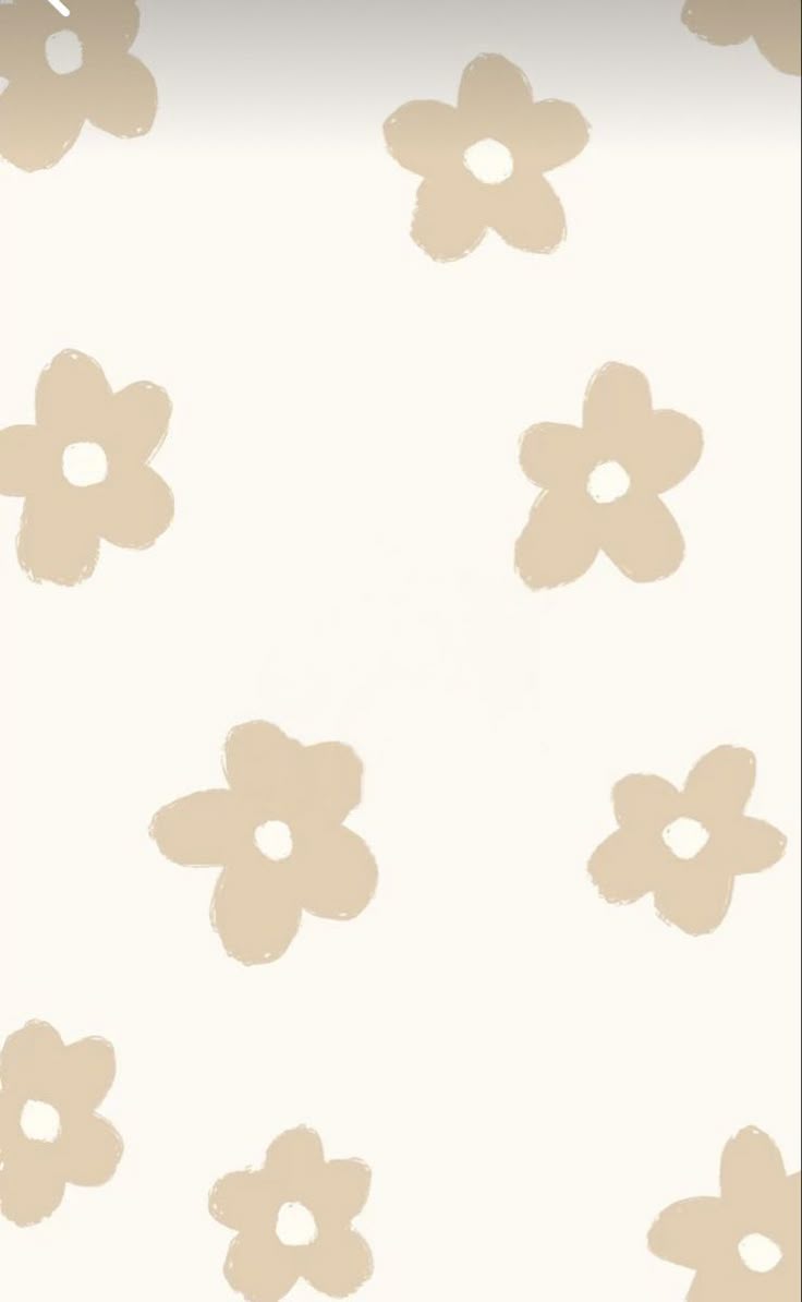 736x1194 cream flowers wallpaper