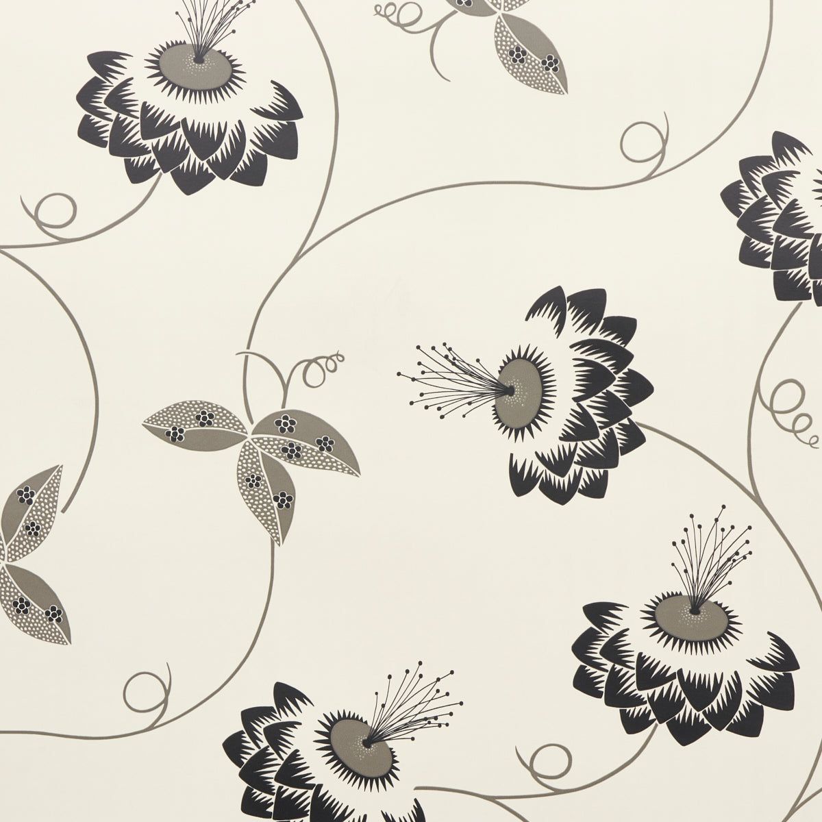 1200x1200 Schumacher Merlin Black and Cream 5015050 Wallpaper