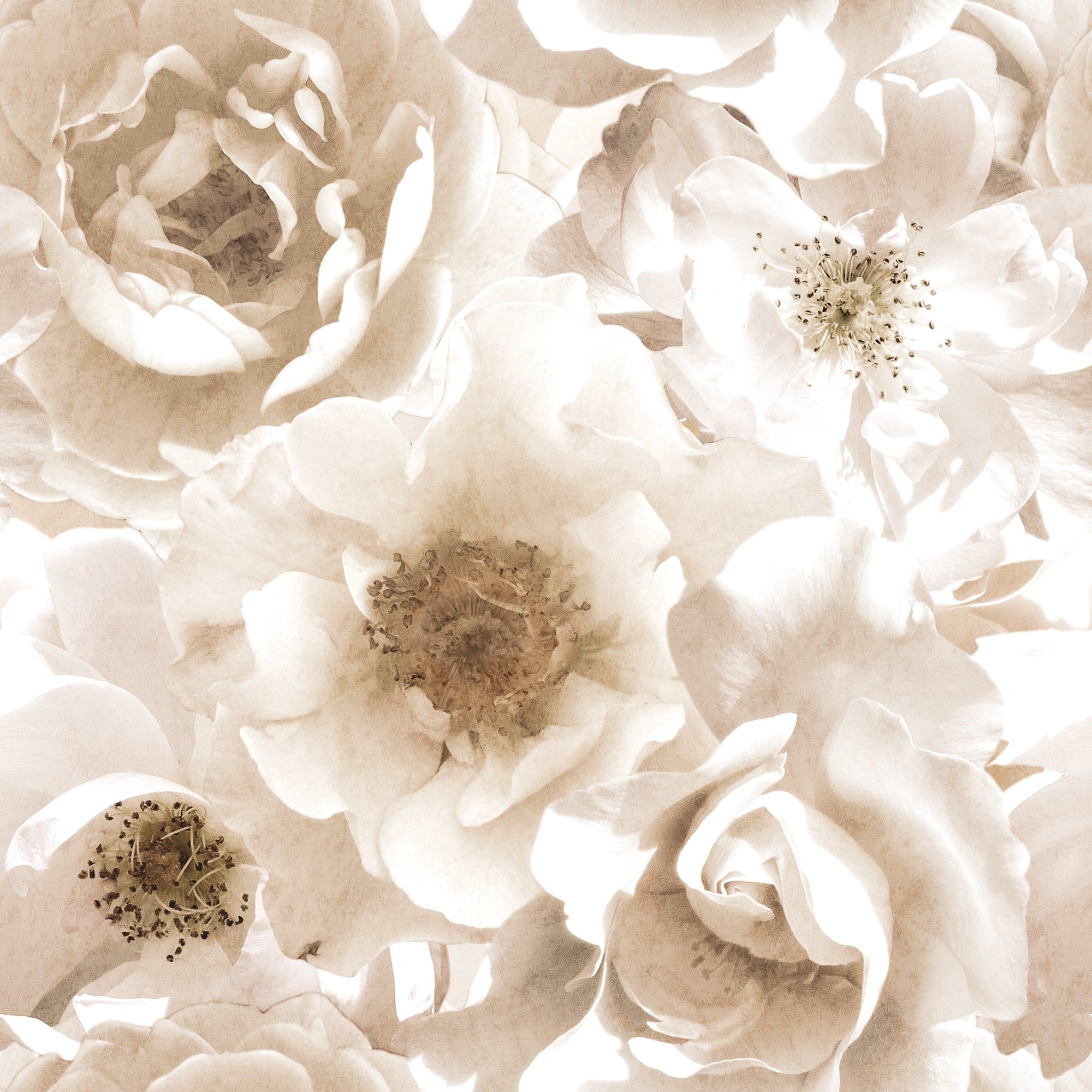 2000x2000 Mr. Kate Creamy Floral Peel & Stick Wallpaper Mural