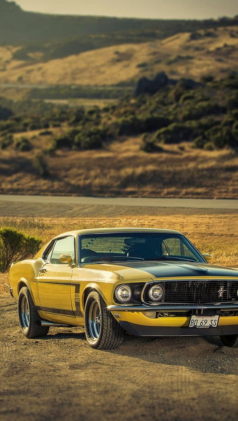 800x1411 Ford Mustang, car, muscle, HD phone wallpaper