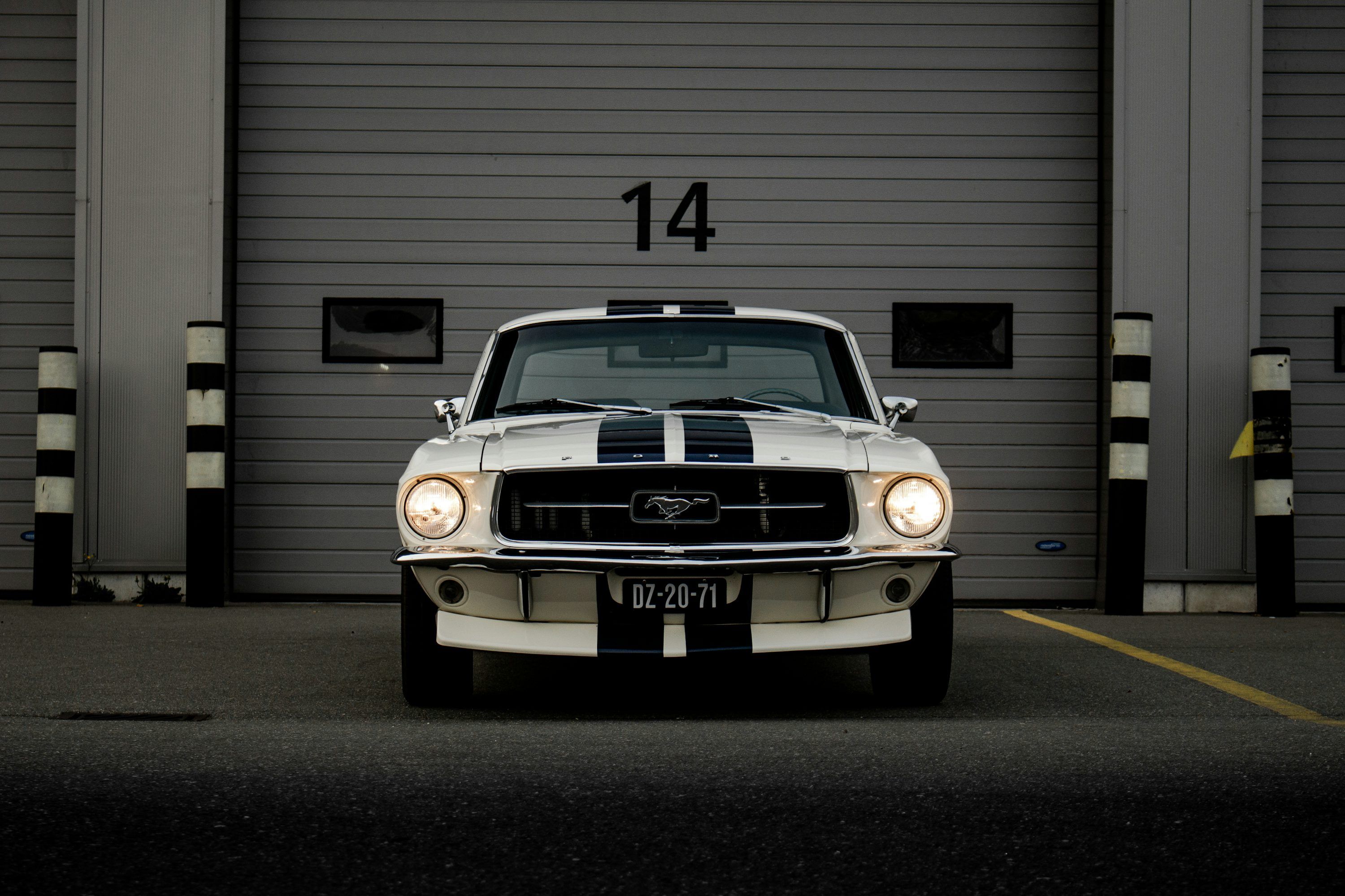 3000x2000 Ford Mustang 1969 Picture. Download Free Image