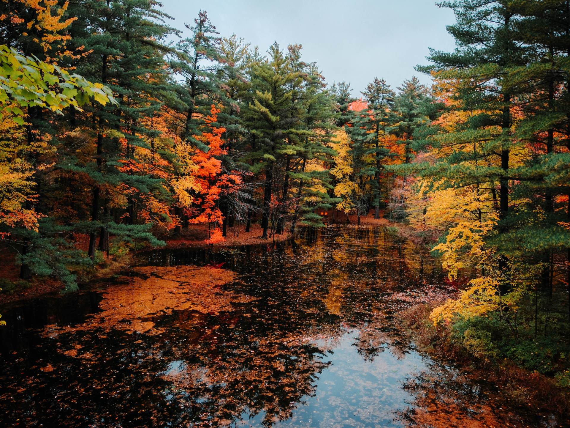 1920x1440 Where Are the Best Places to See Fall Color in Bay City, Frankenmuth, Midland, and Saginaw, MI?. Go Great Lakes Bay