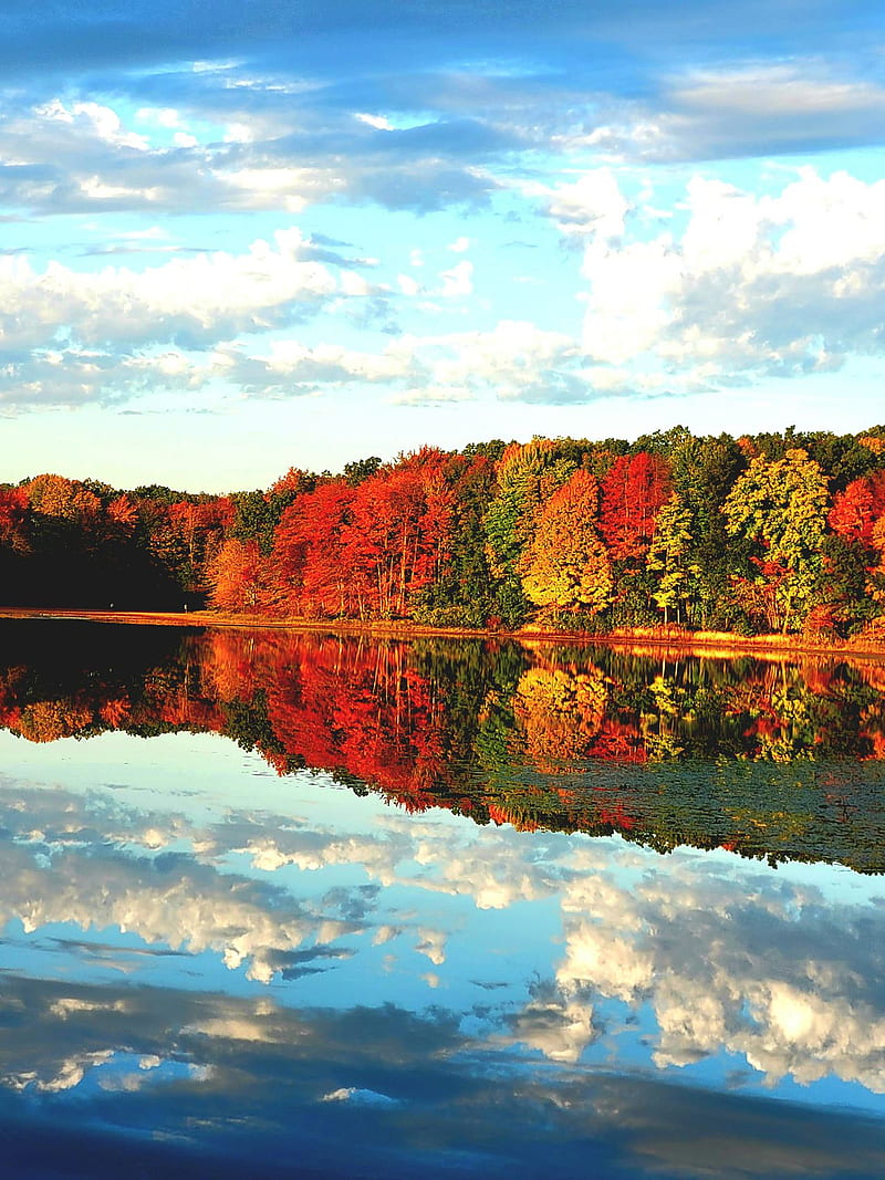 800x1067 Michigan fall color update: Now we drive the opposite direction and see some great, HD phone wallpaper