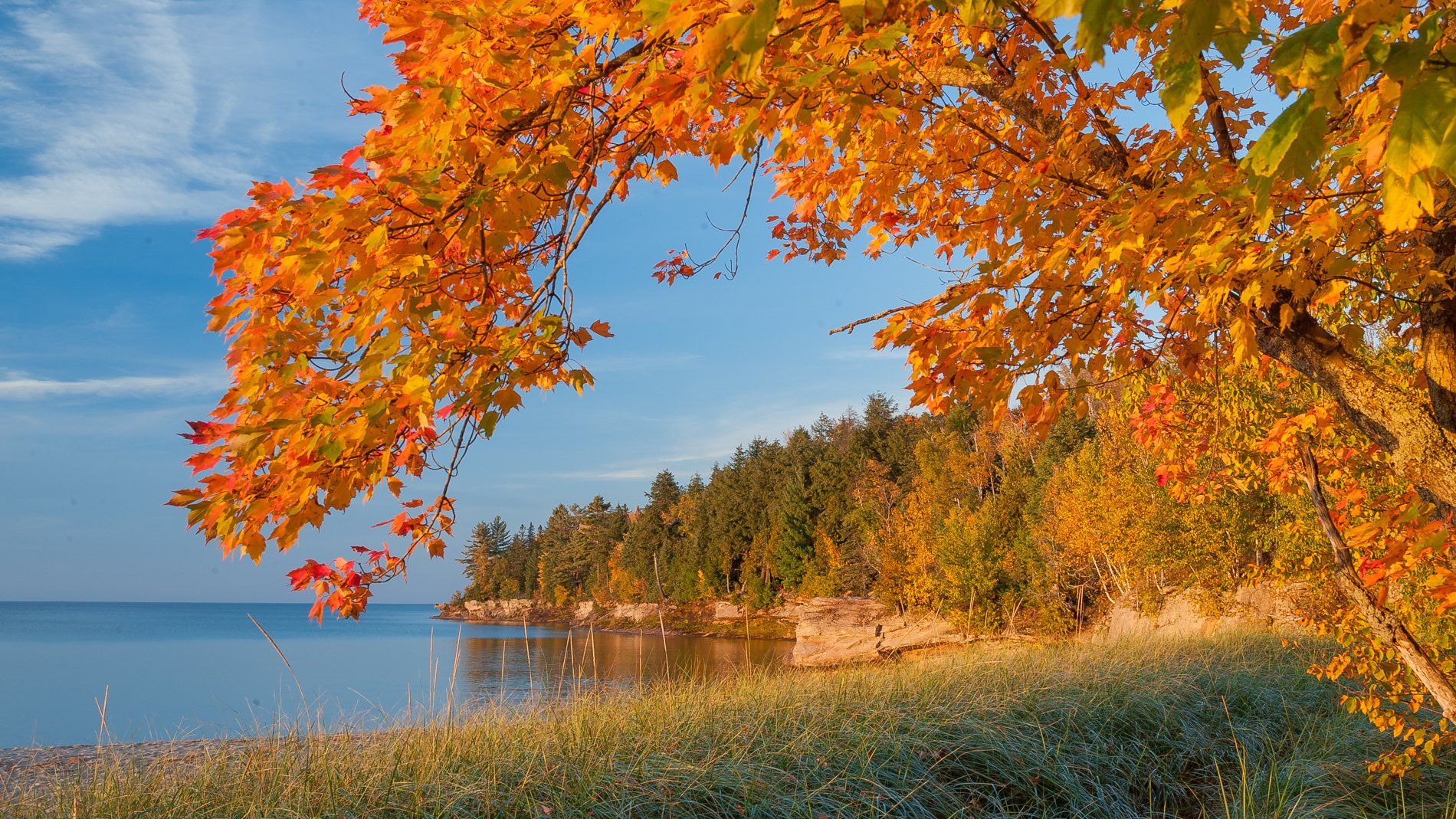 1900x1069 autumn, Lake, Trees, Landscape, Michigan Wallpaper HD / Desktop and Mobile Background