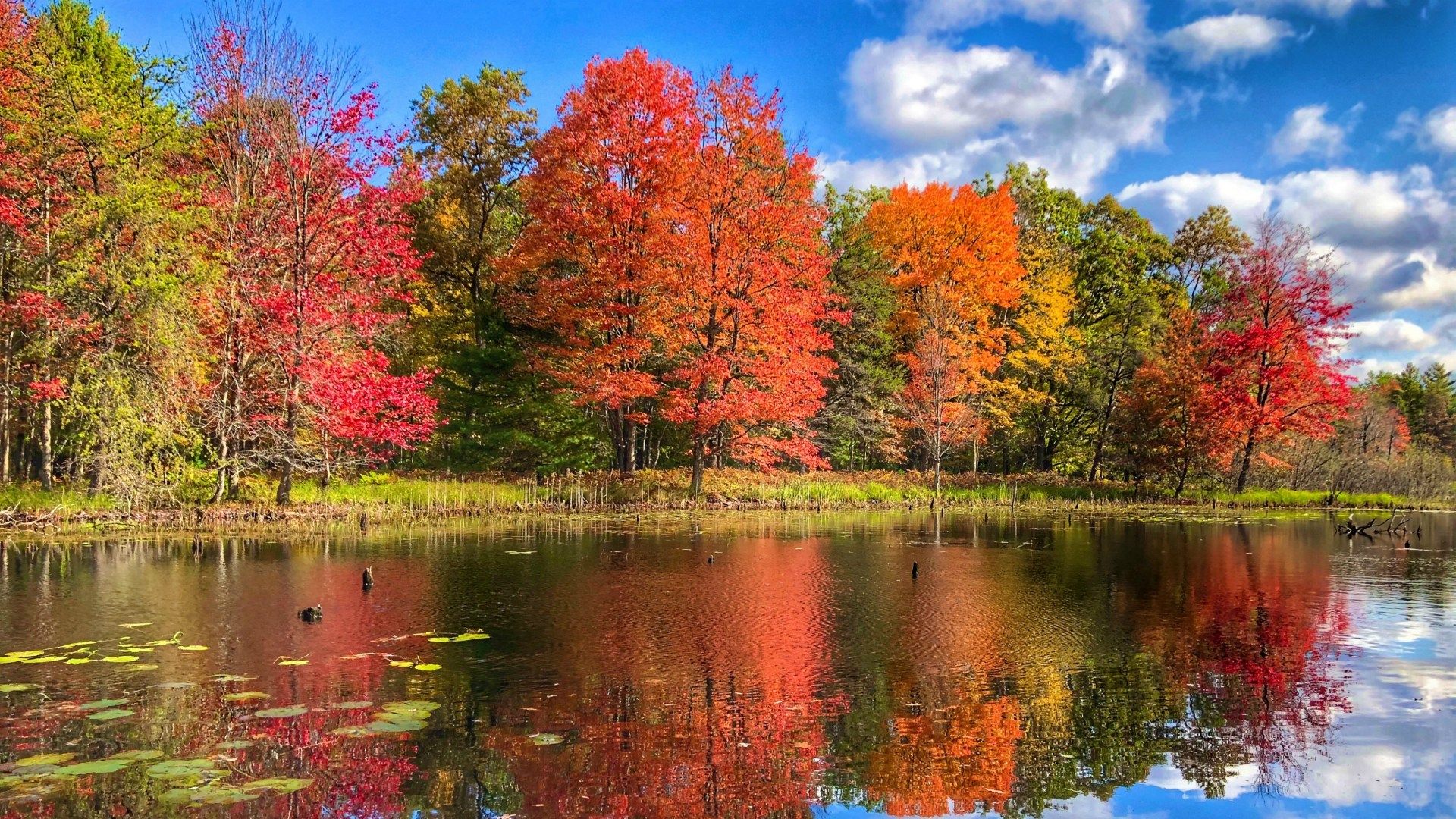 1920x1080 Share your fall photo and videos
