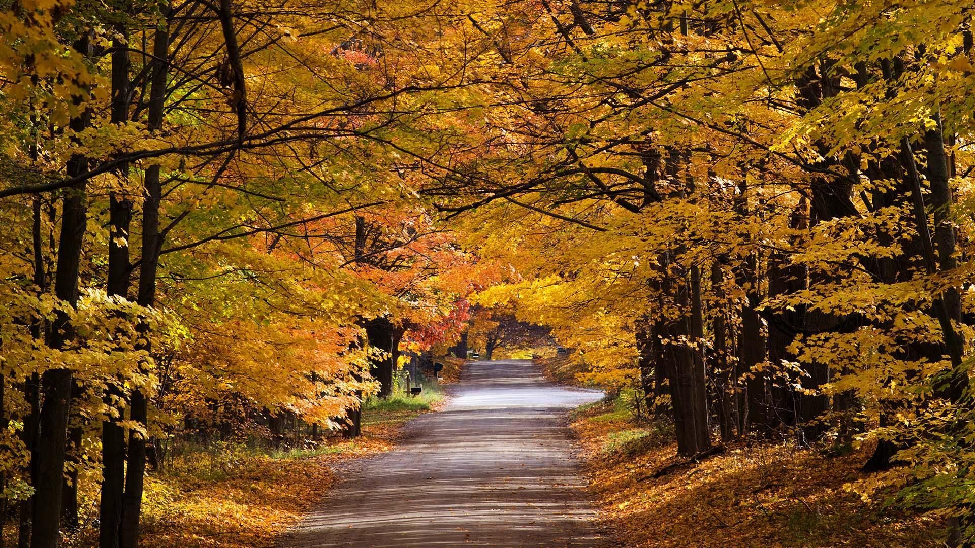 1920x1080 free fall activities in Southwest Michigan. Visit Southwest Michigan