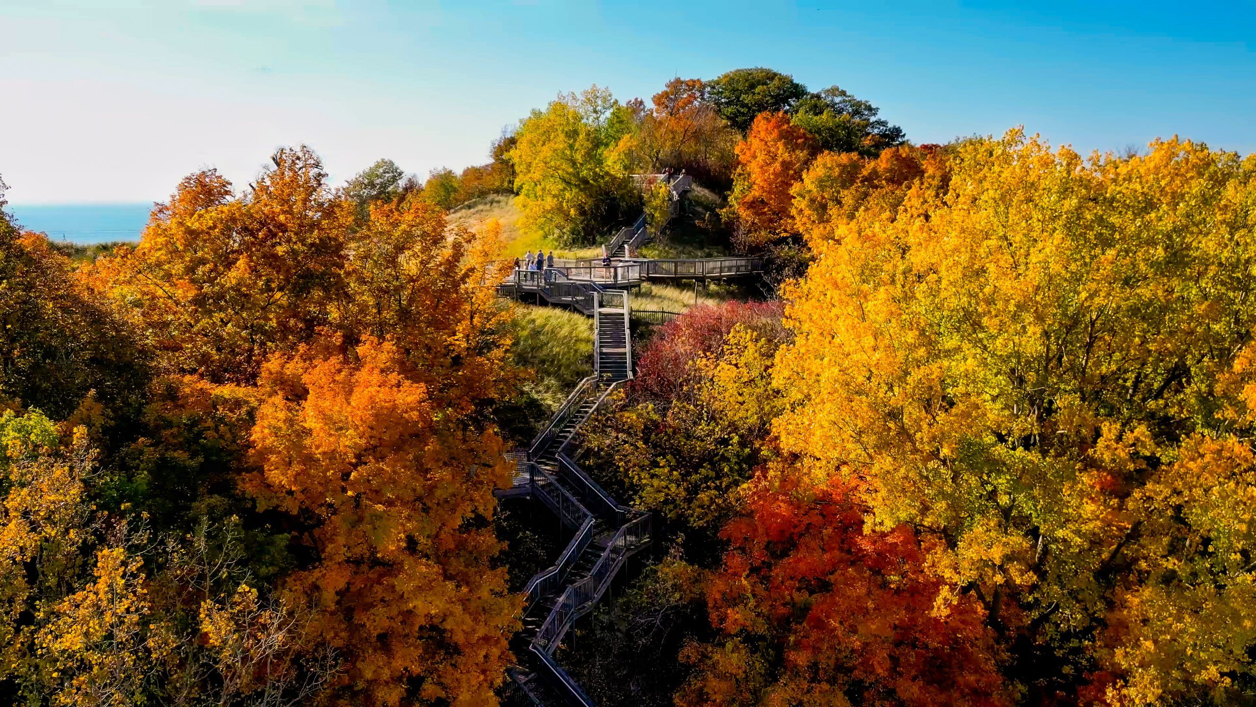 2560x1440 Things to Know About Visiting Holland in the Fall