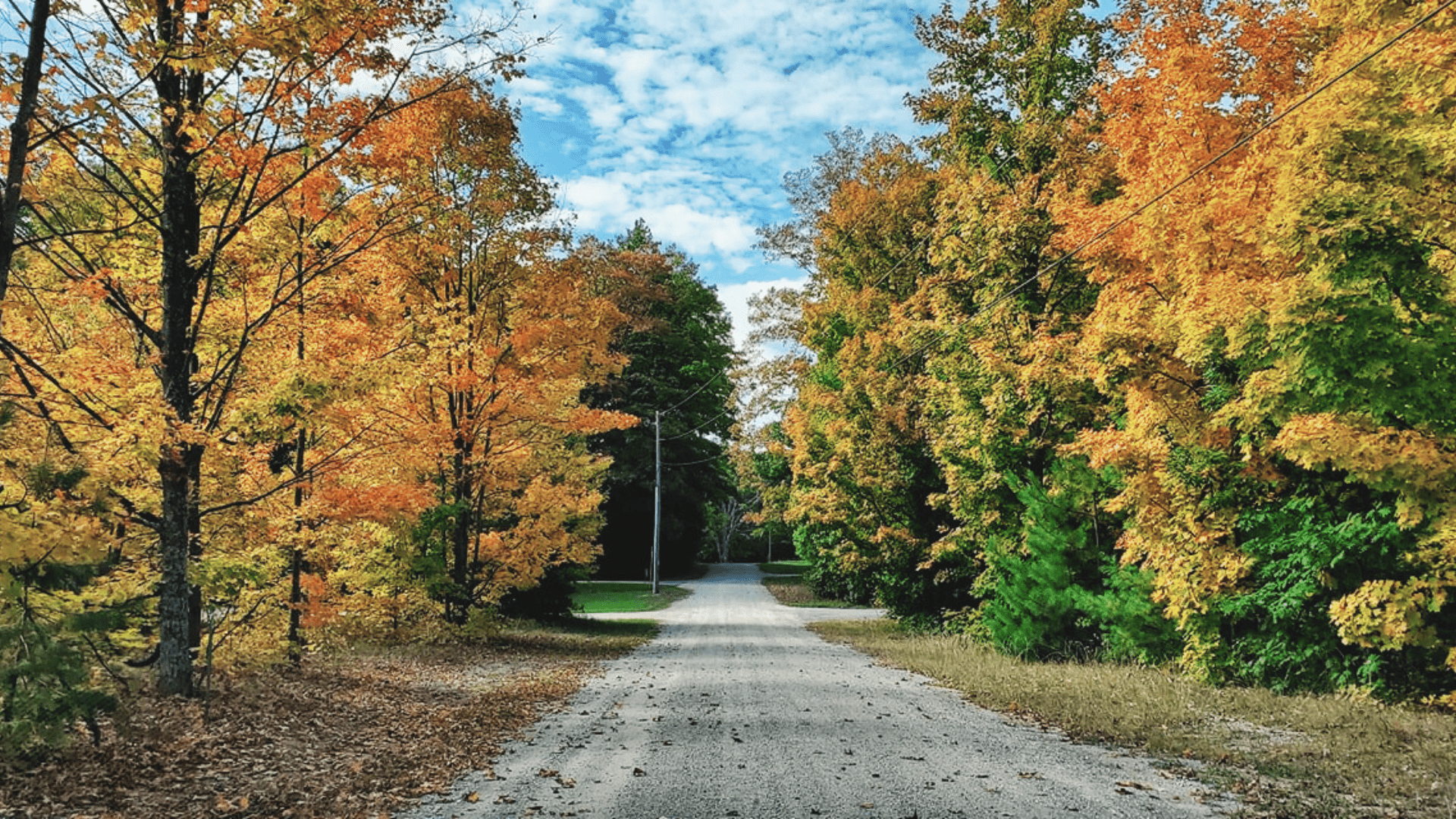 1920x1080 County Road Association of Michigan releases fall colors guide