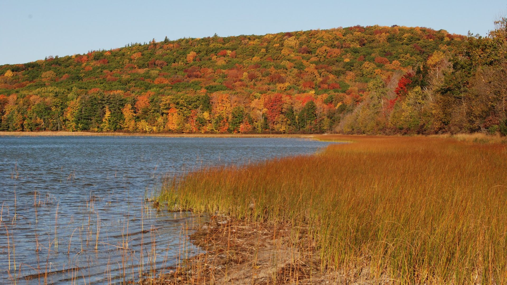 1920x1080 Michigan fall colors: 2026 weekend getaways
