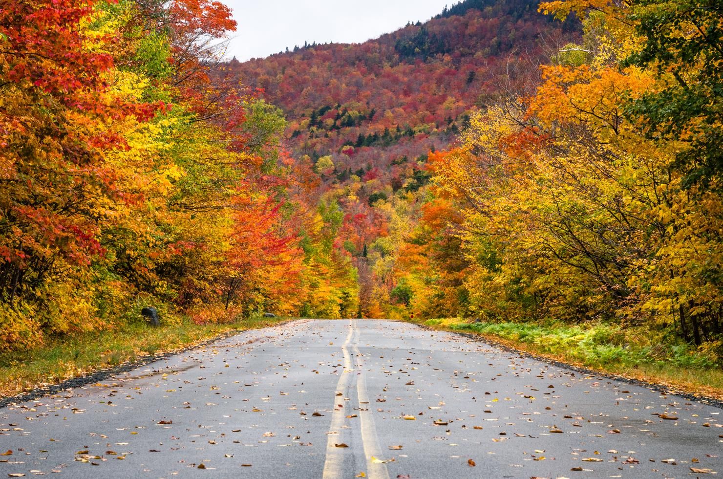 1480x980 This Michigan National Park Is Among The Best Places To Visit In The Fall