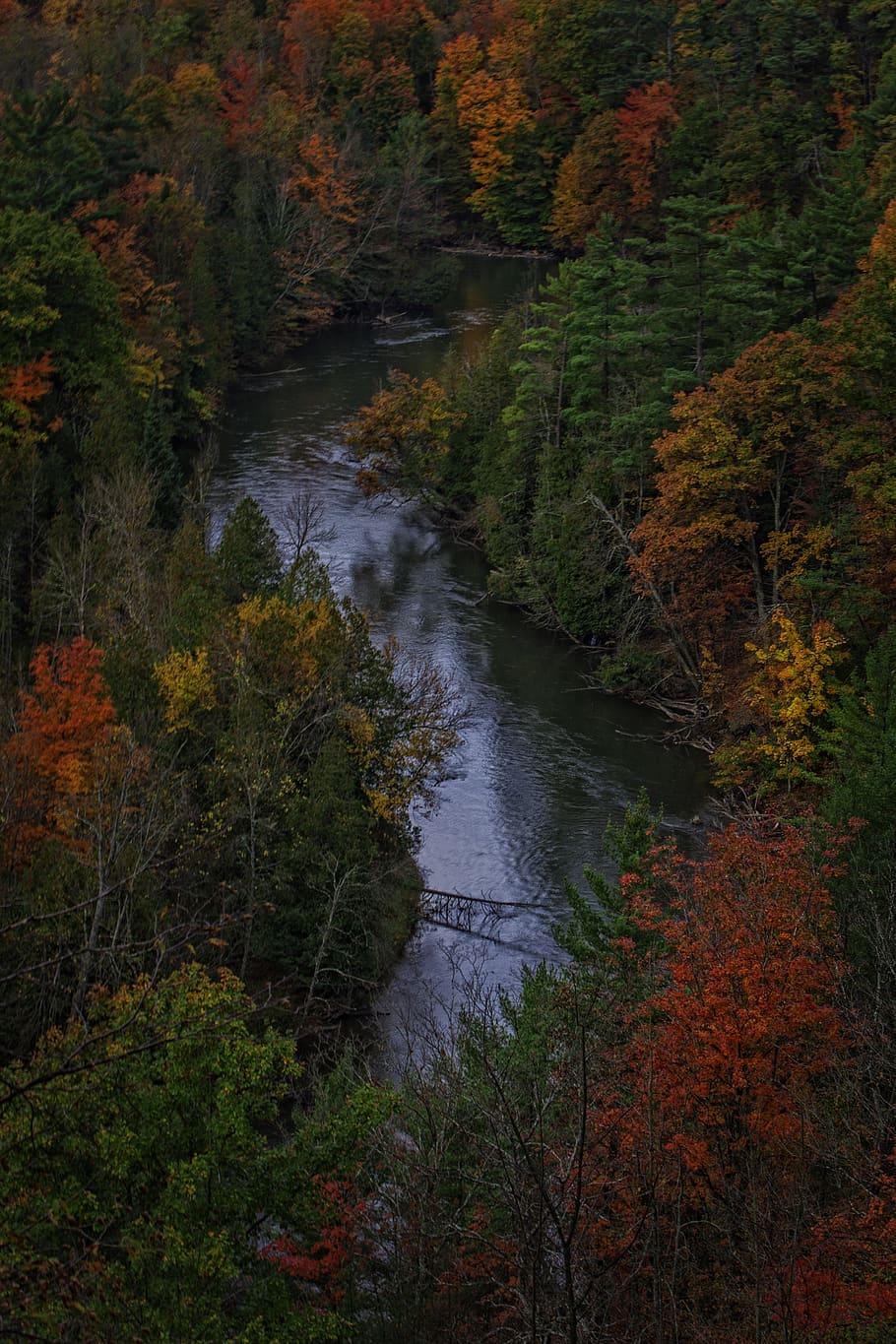 910x1365 Michigan fall 1080P, 2K, 4K, 5K HD wallpaper free download