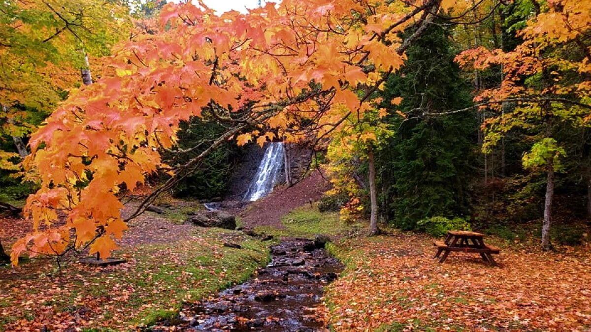 1200x675 These are the best roads in metro Detroit to see fall colors in 2025
