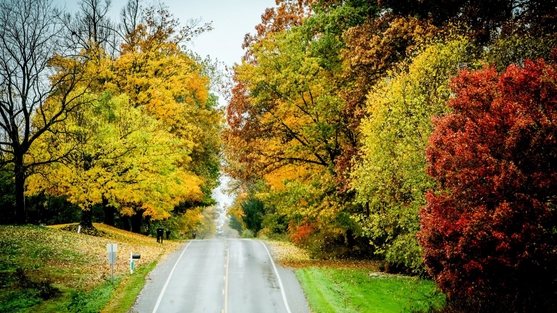 1920x1080 Michigan spot named No. 2 fall destination, behind Gatlinburg