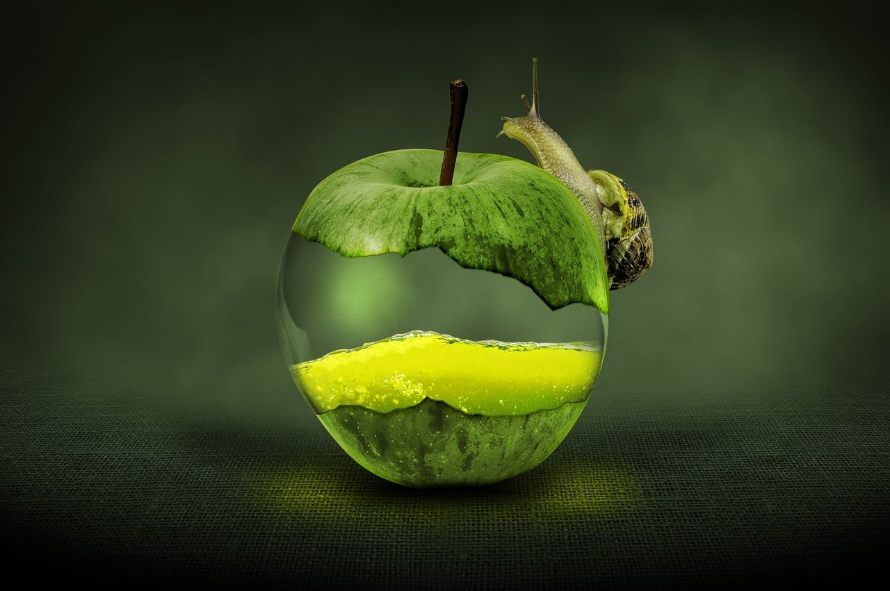 1280x851 Download Apple Fruit Green Apple. Royalty Free Stock Illustration Image