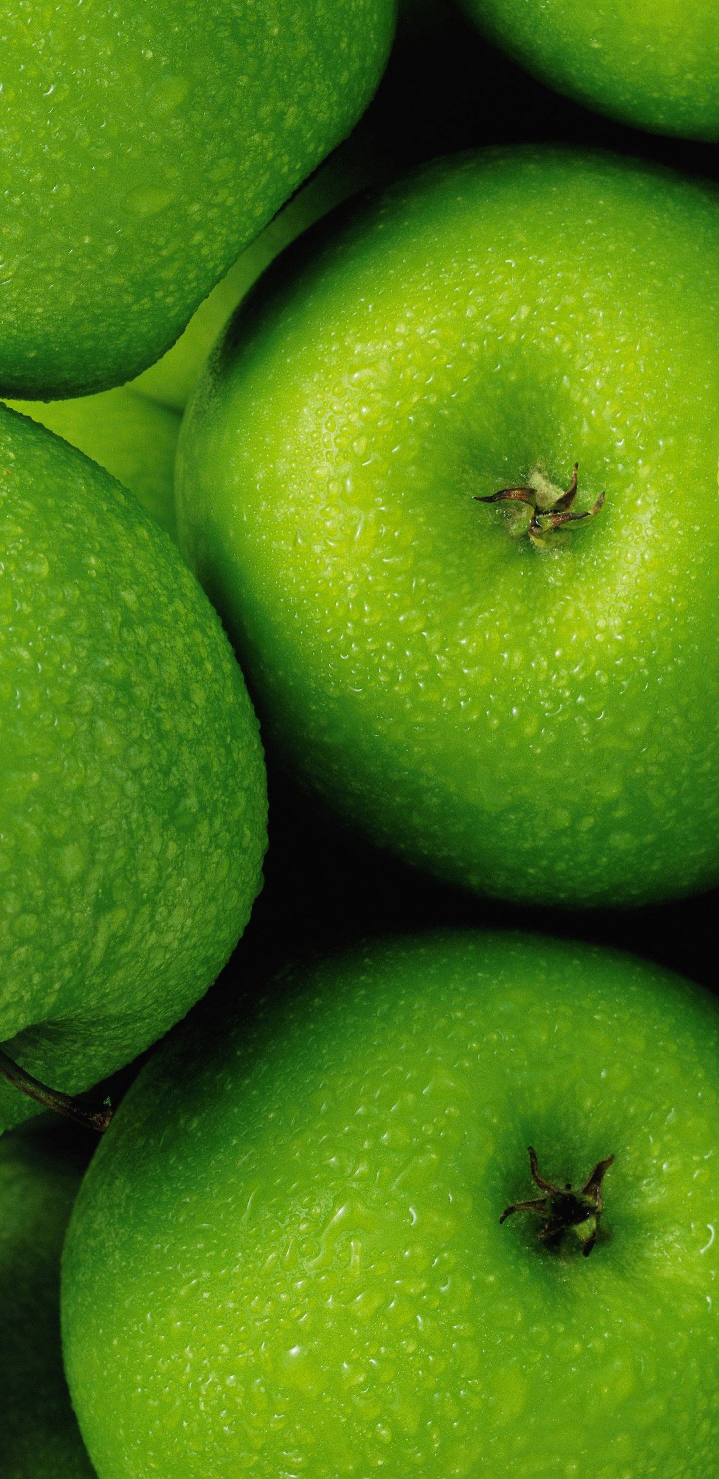 1440x2960 Apple (Fruit) Wallpaper