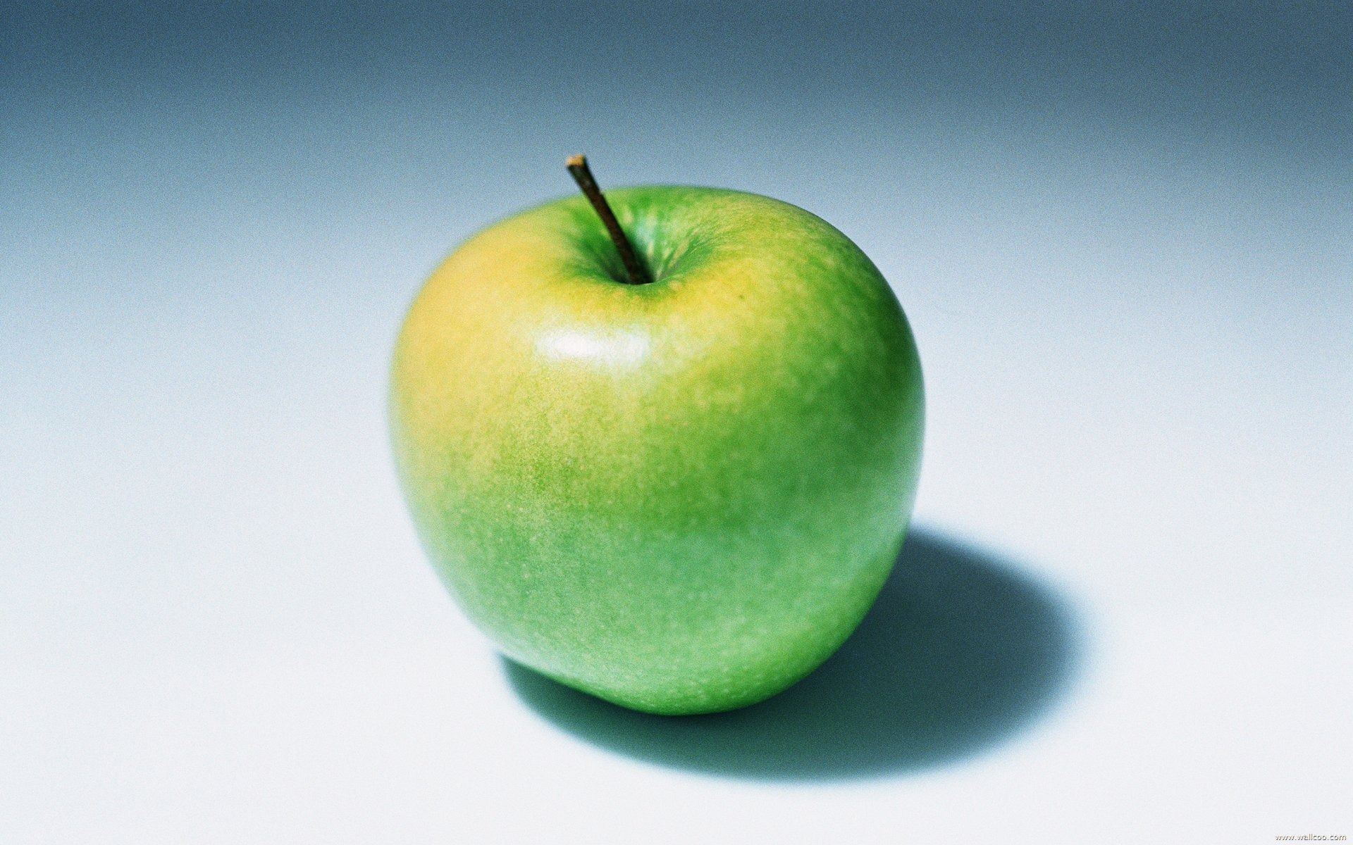 1920x1200 fruit Photography Green Apple wallpaper Australia