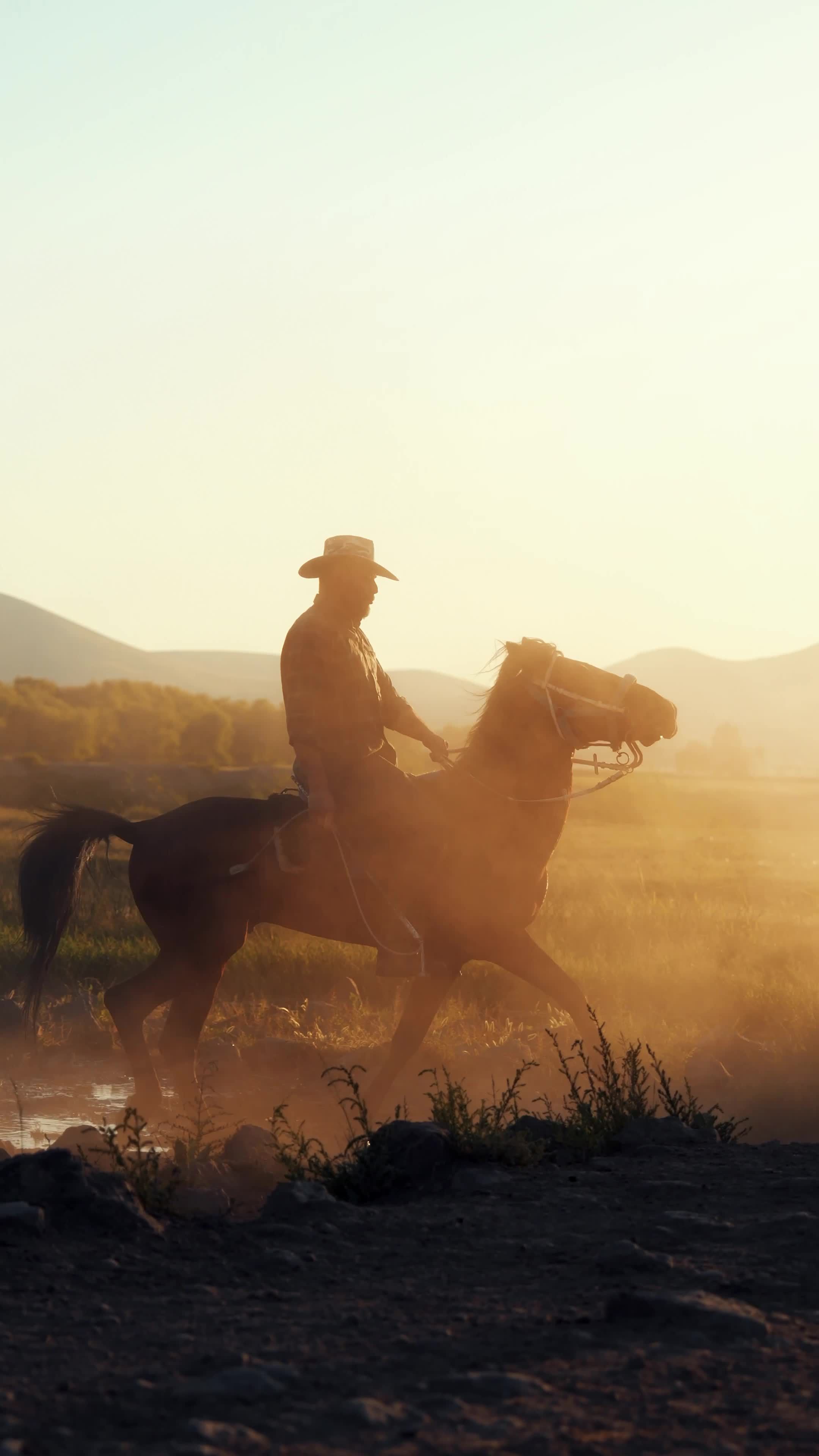 2160x3840 The cover of the book, the cowboy's guide to the desert