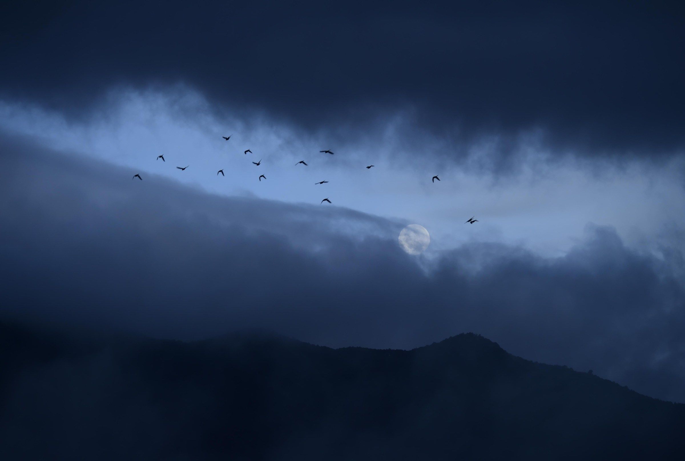 2400x1613 Open Thread, August 2026: Rainy days