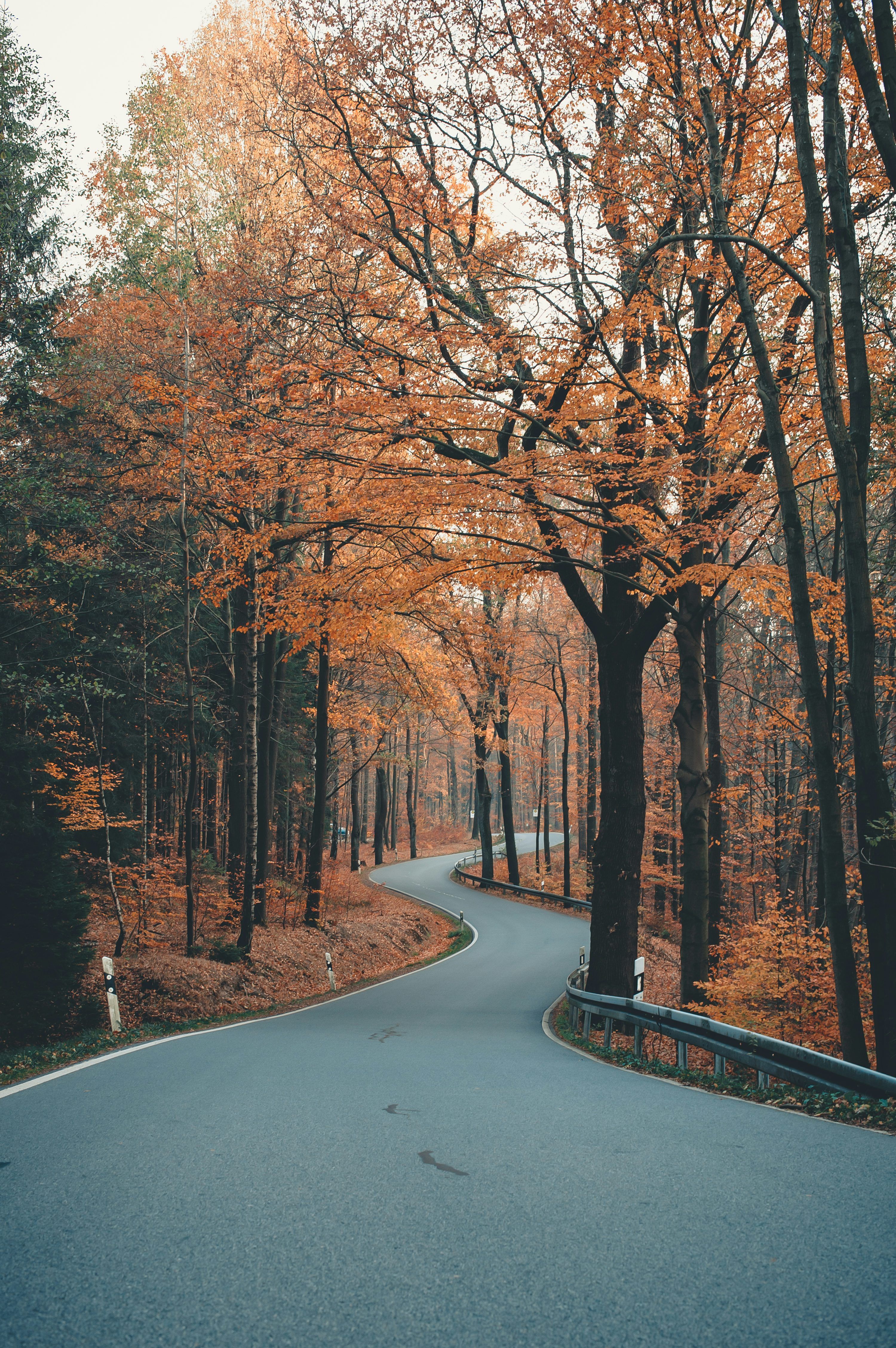 3000x4508 Gambar Pemandangan Indah. Download Gambar Gratis di