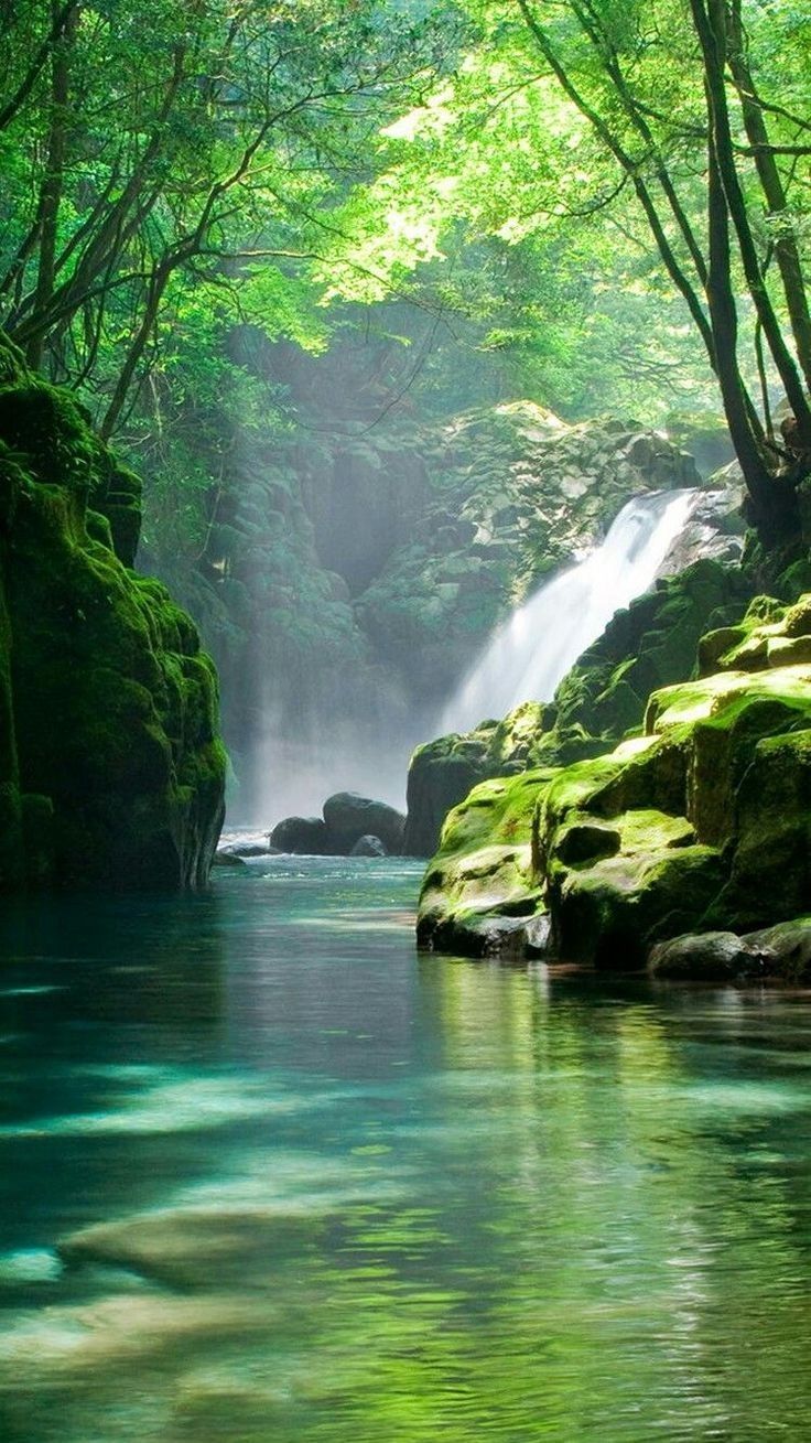 736x1309 ide Pemandangan cantik. taman indah, burung cantik, kebun bunga