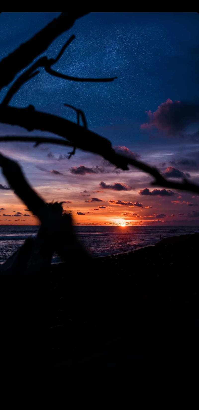 800x1644 HD pemandangan alam wallpaper