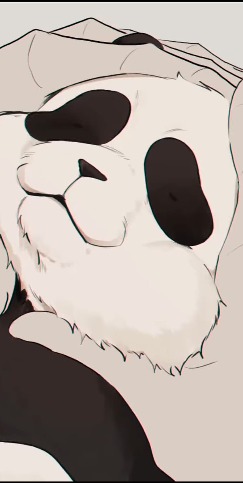 800x1593 Panda, jujutsu, jujutsu kaisen, cute, anime, HD phone wallpaper