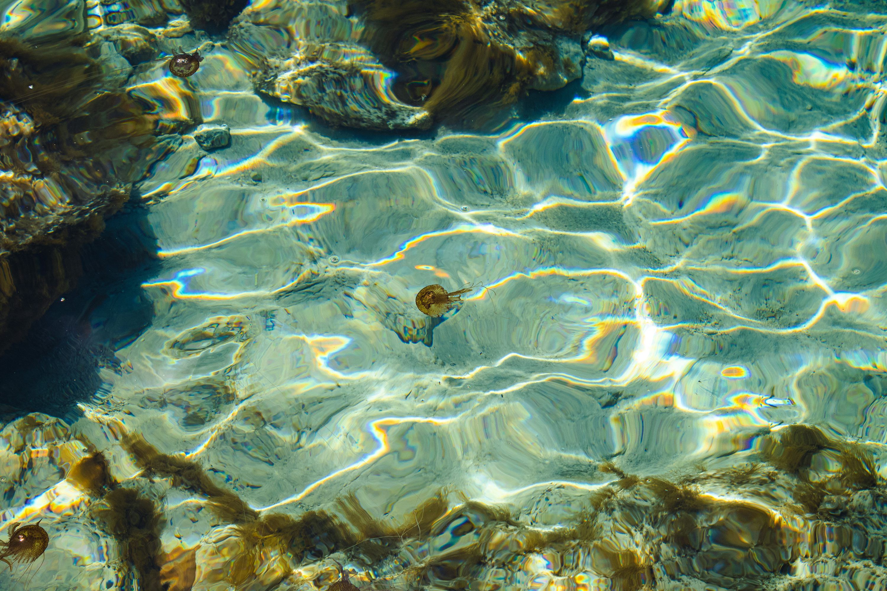 3000x2000 Picture. Download Free Image