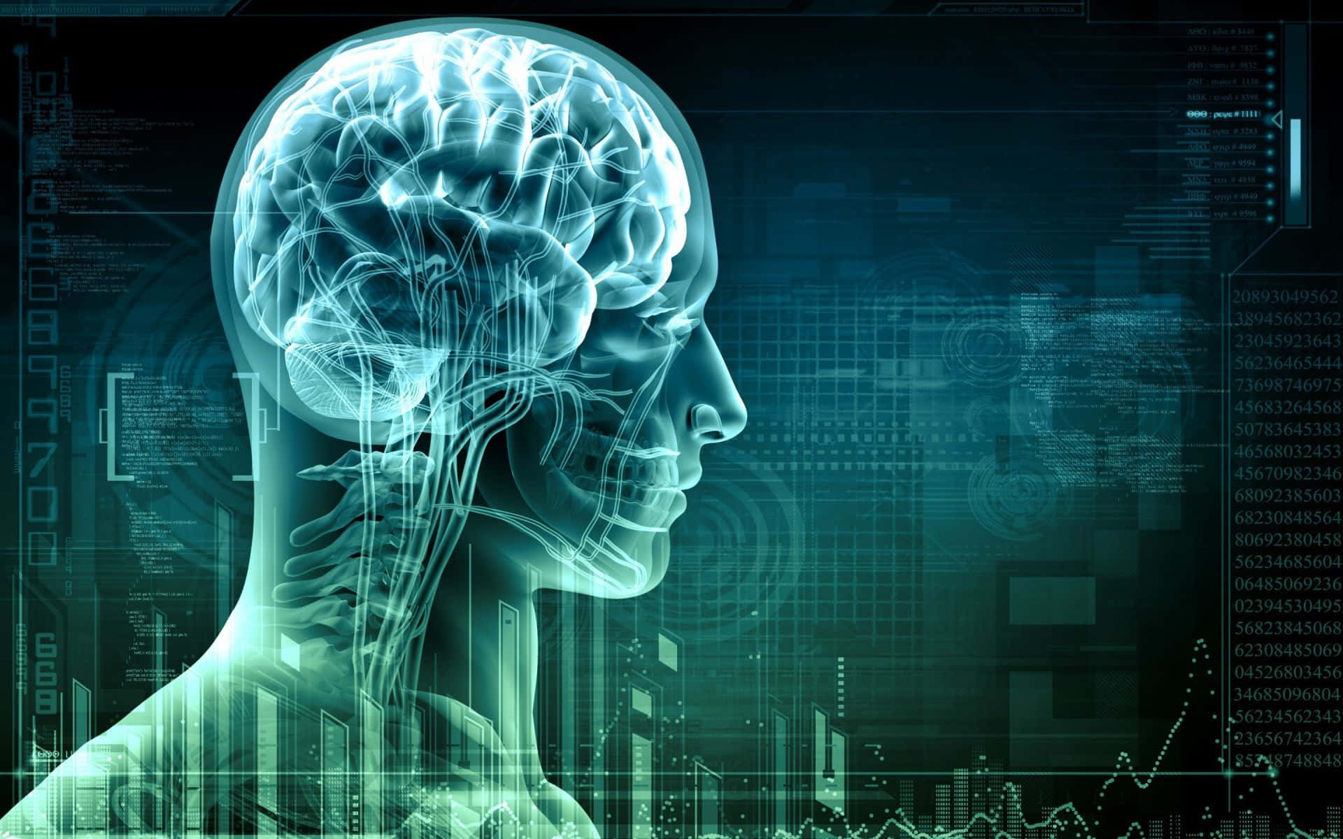 1920x1200 Human Head Wallpaper