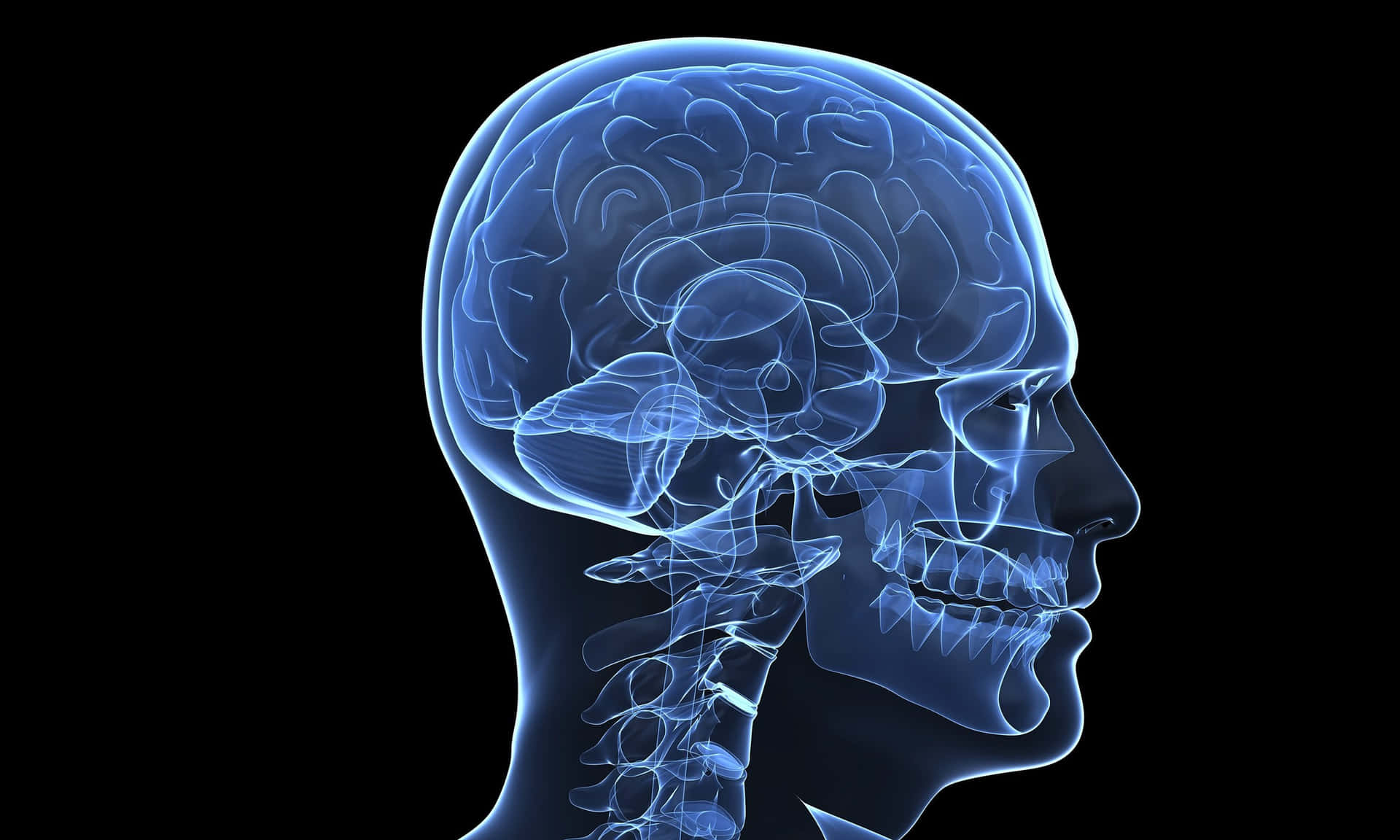 1920x1152 Human Head Wallpaper