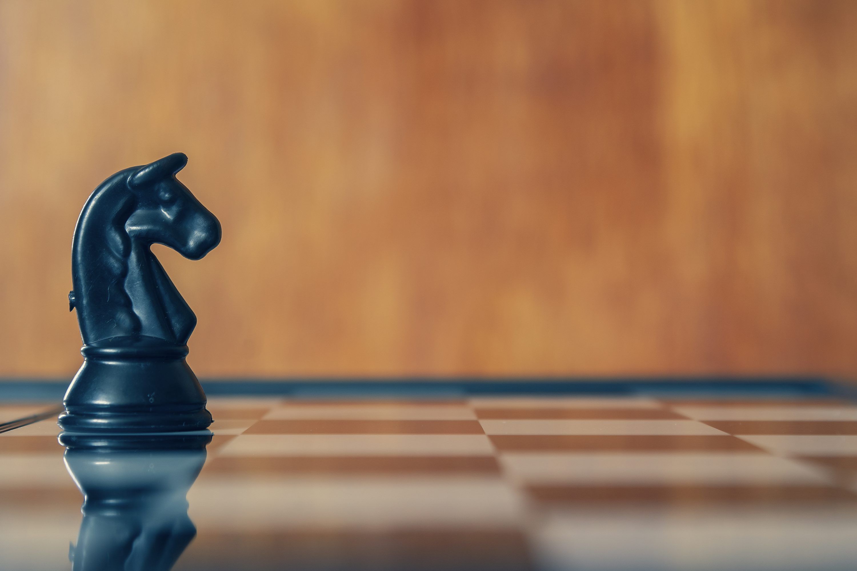 3000x2000 A chess knight stands alone on the chessboard