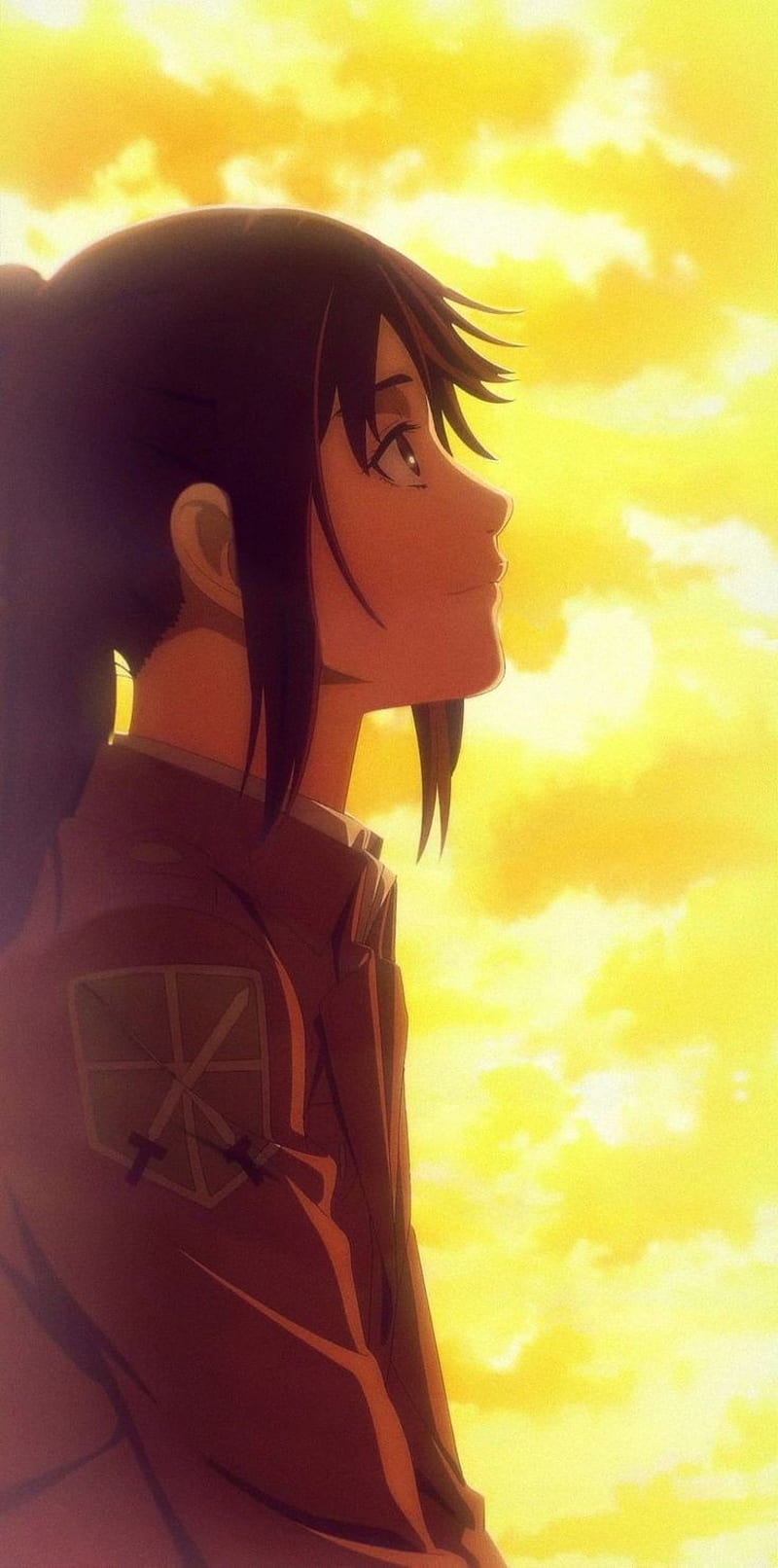 800x1612 Sasha Braus aot, anime, attack on titan, HD phone wallpaper
