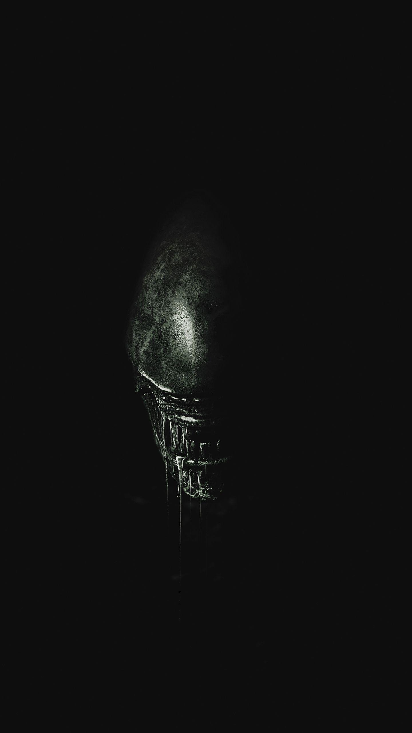 1440X2560 Vertical Wallpapers - Top Free 1440X2560 Vertical Backgrounds