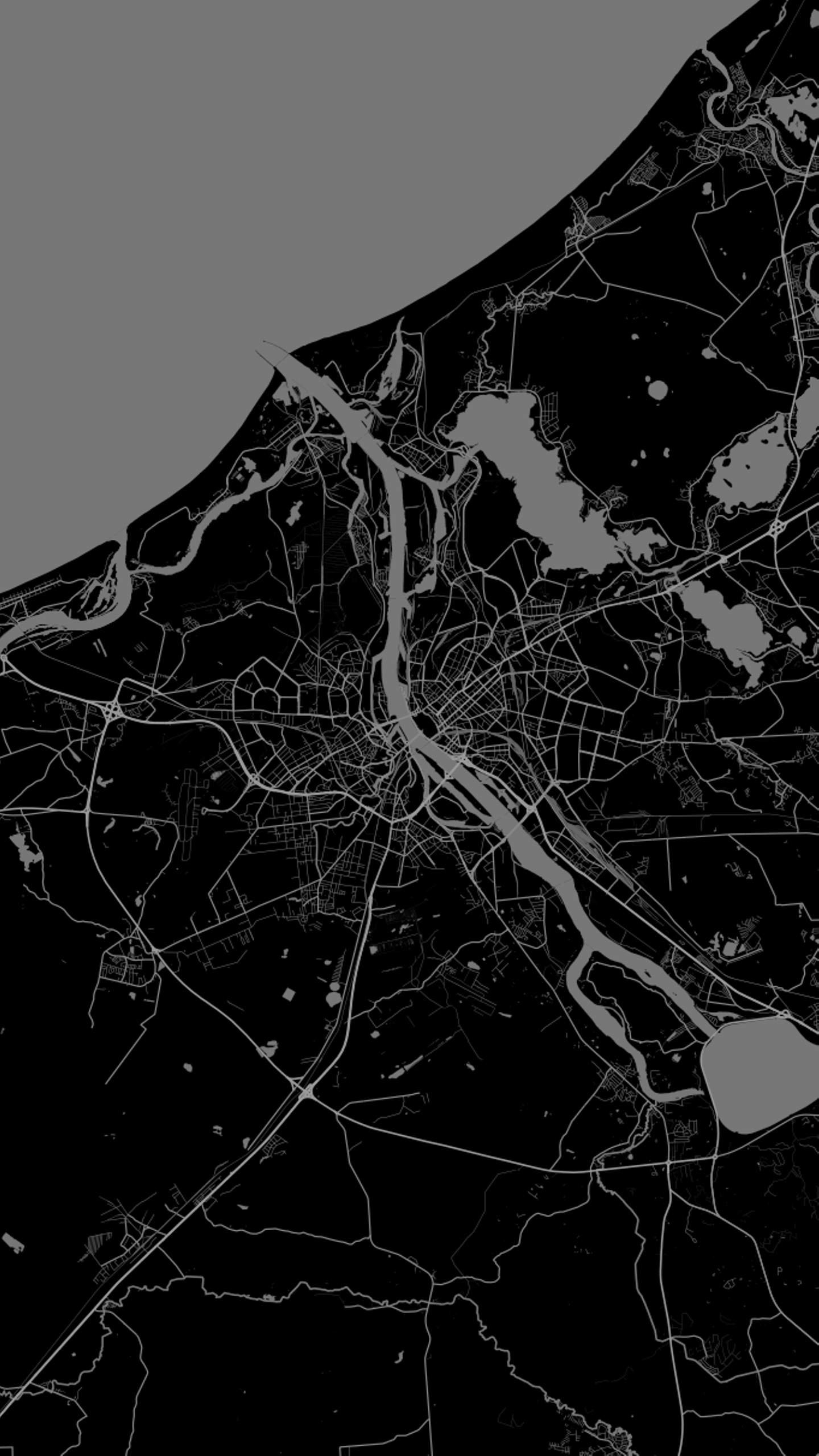1440x2560 Roadmap of Riga black & white wallpaper [1440x2560]