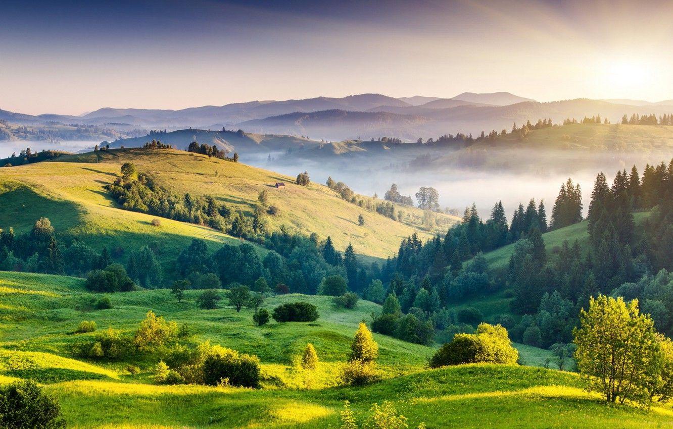 1332x850 Wallpaper green, trees, landscape, fields, green hills image for desktop, section природа