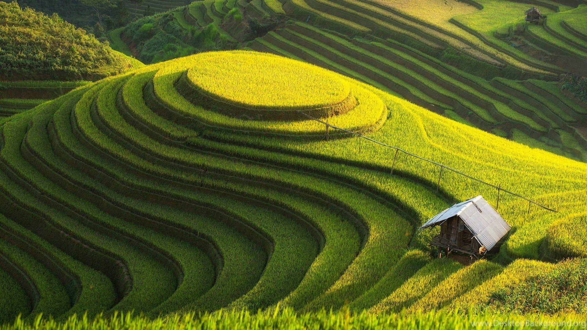1920x1080 Green Hills Desktop Wallpaper Desktop Background